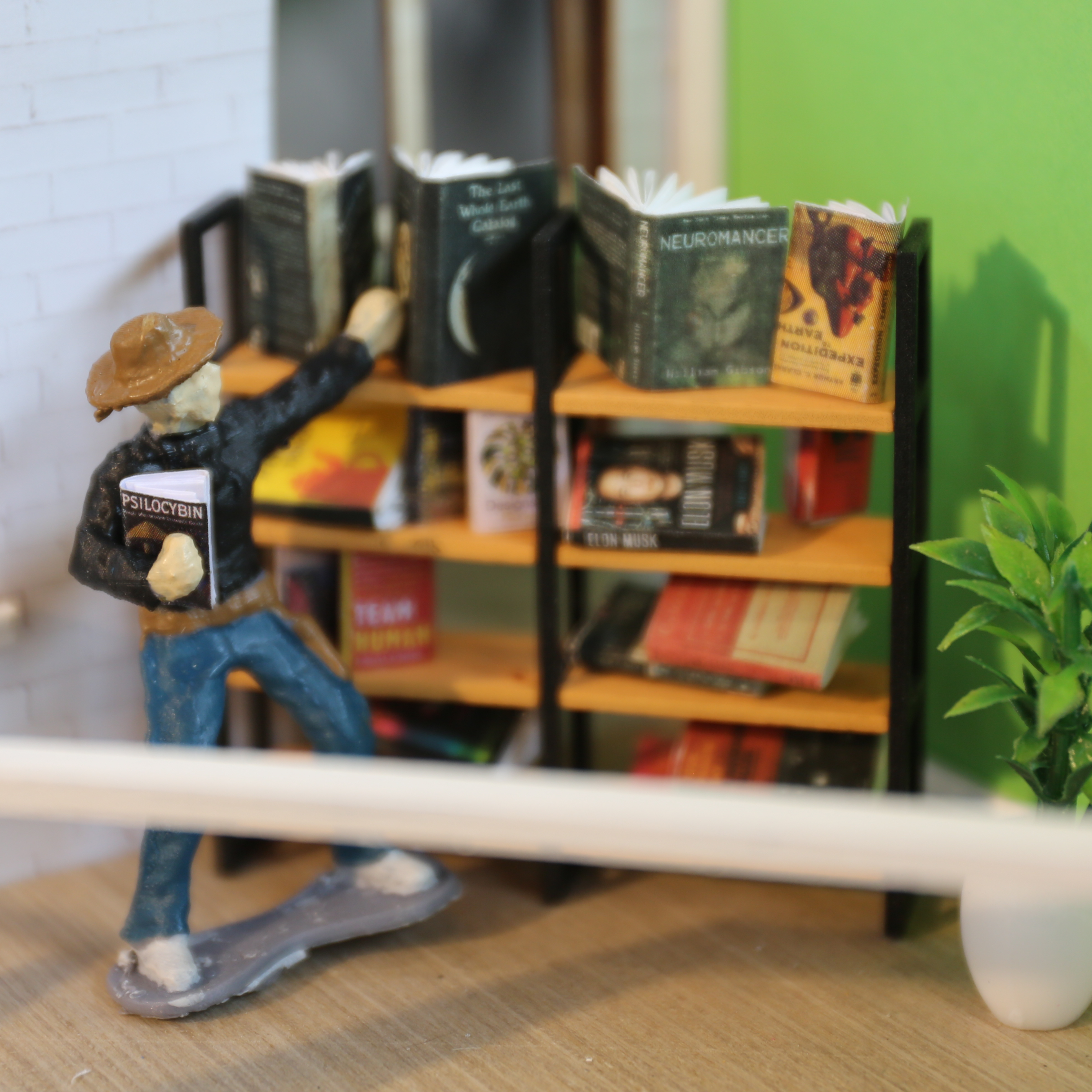 saloon Bookshelf