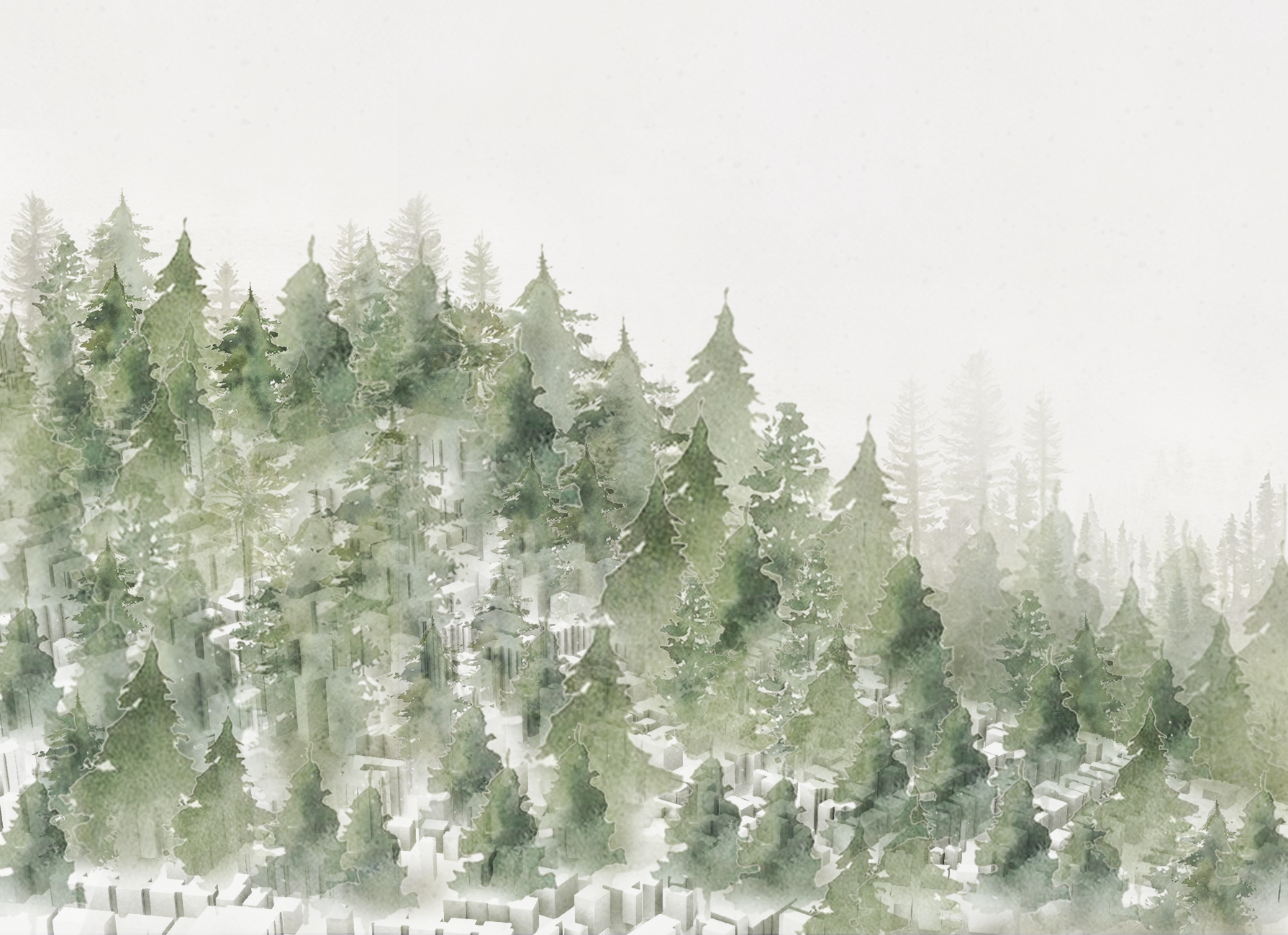 Living in the Forest