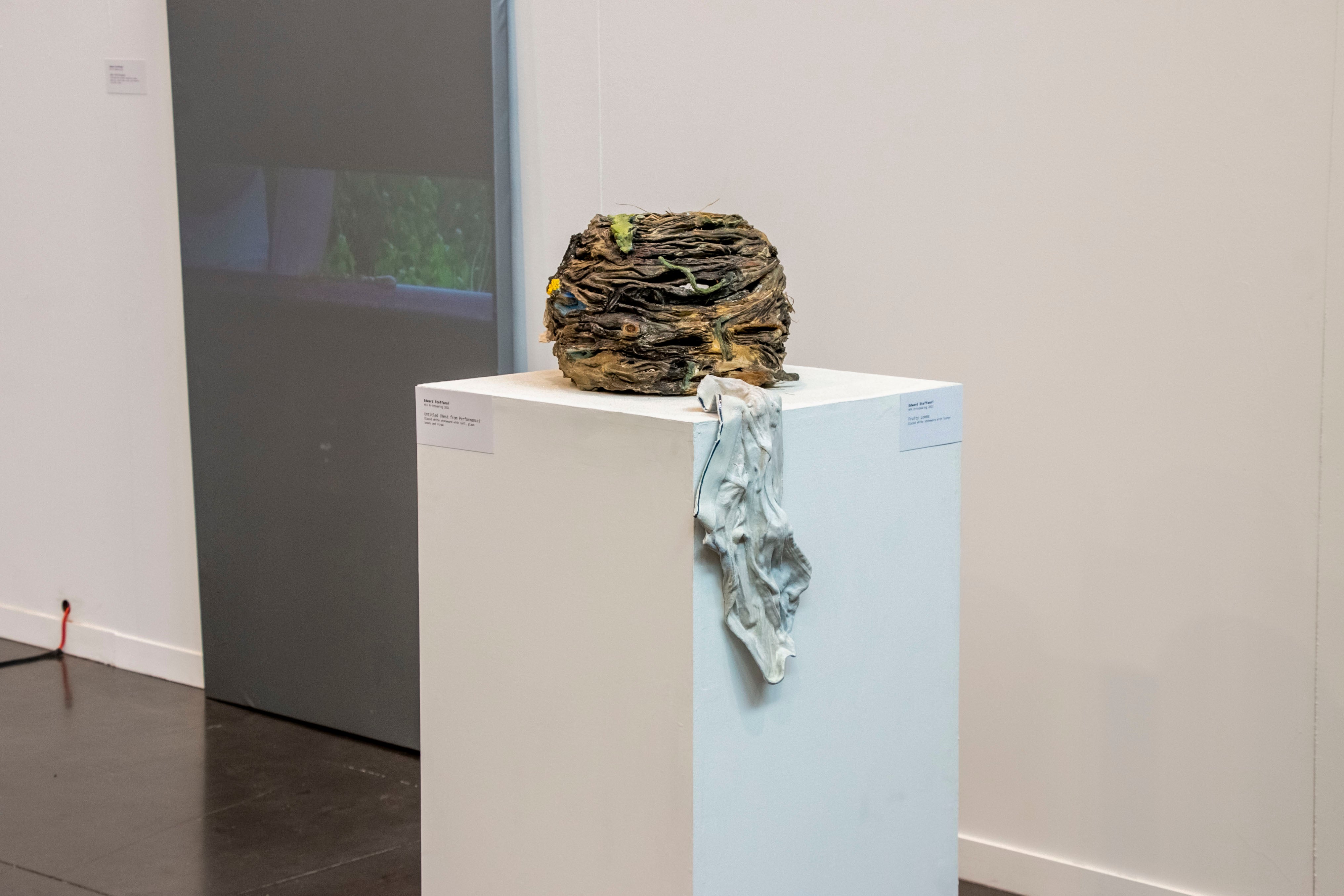 Installation view of ceramic nest from performance with clay male underwear.