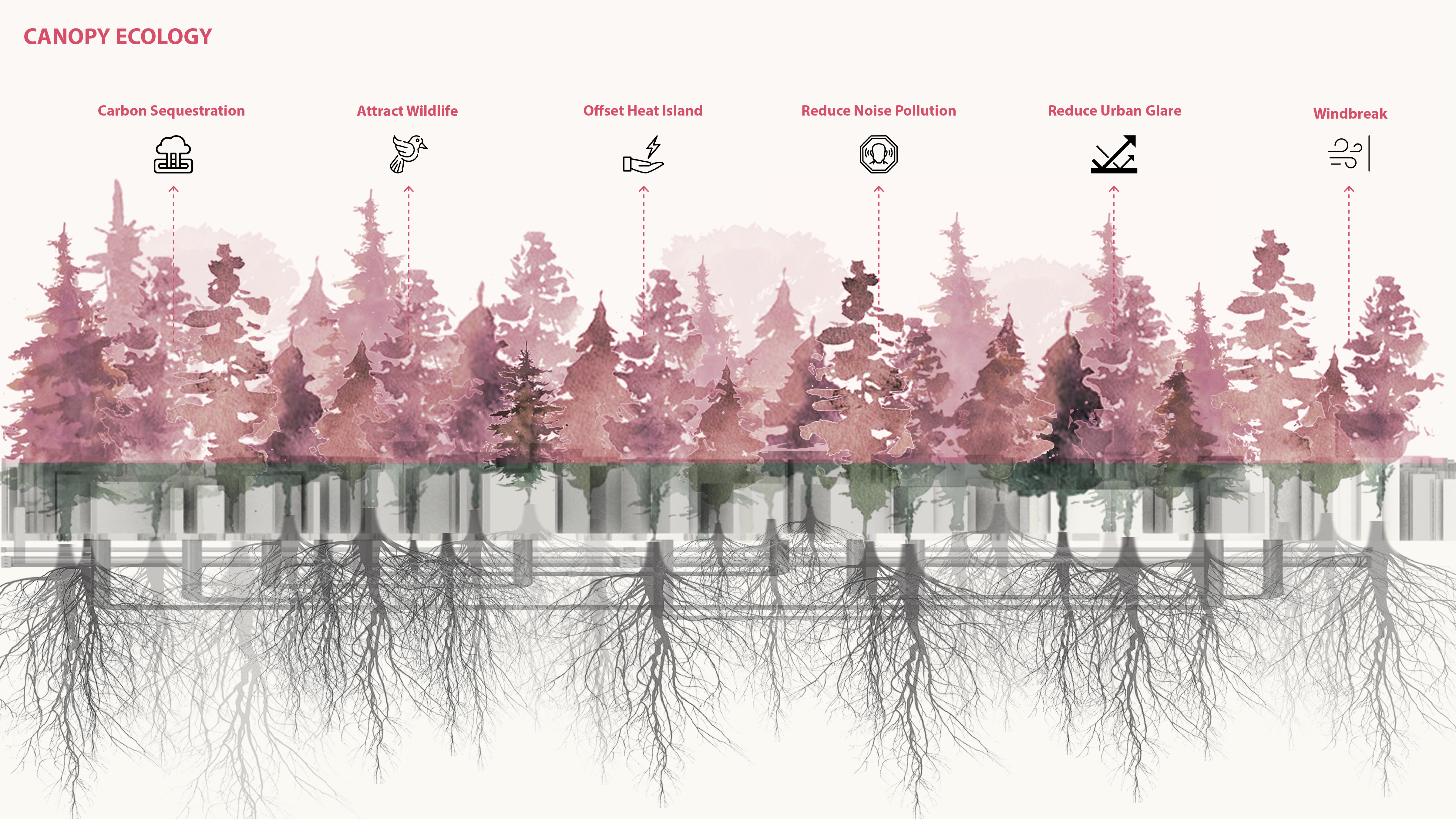 canopy ecology