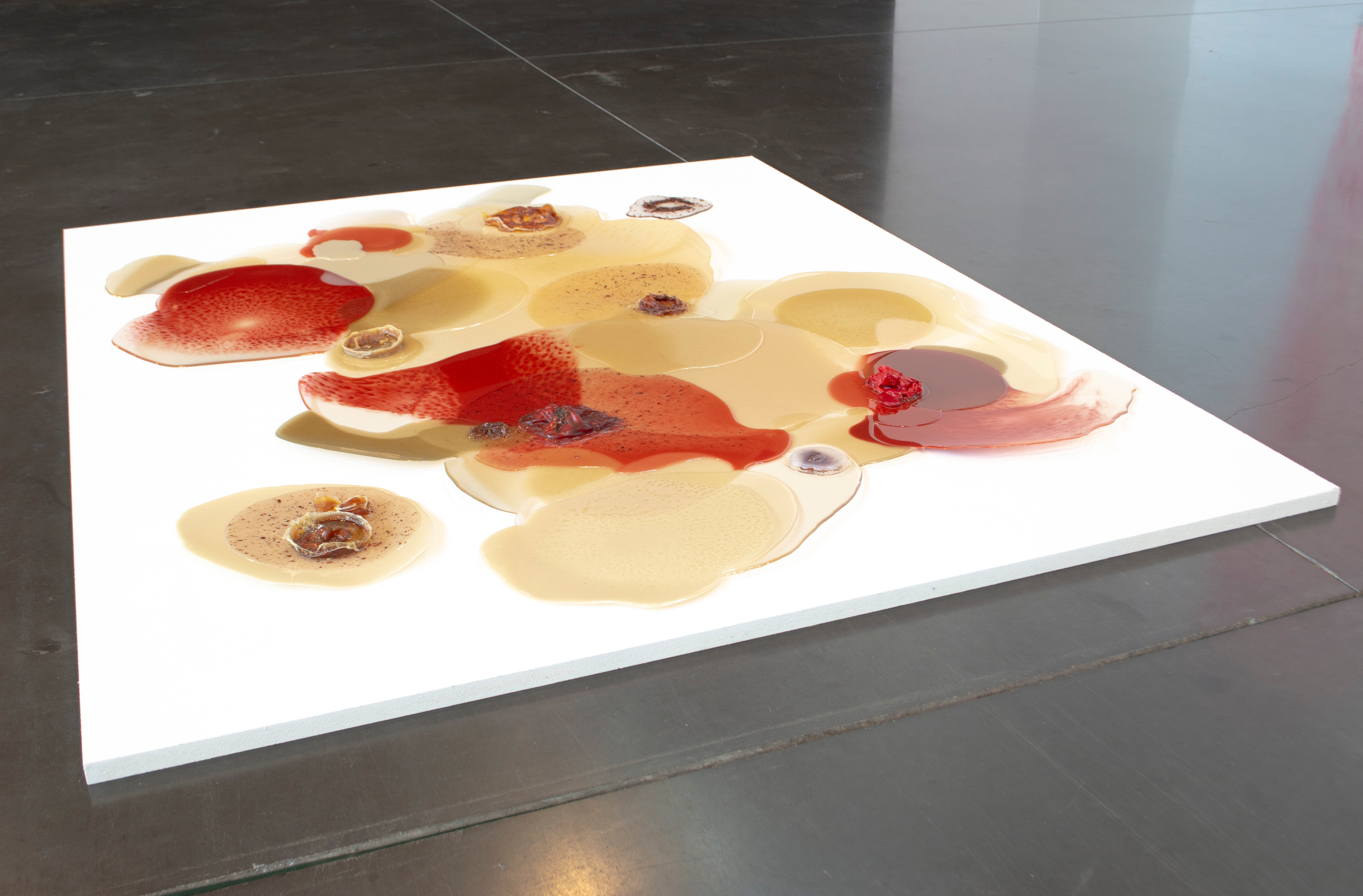 install view 