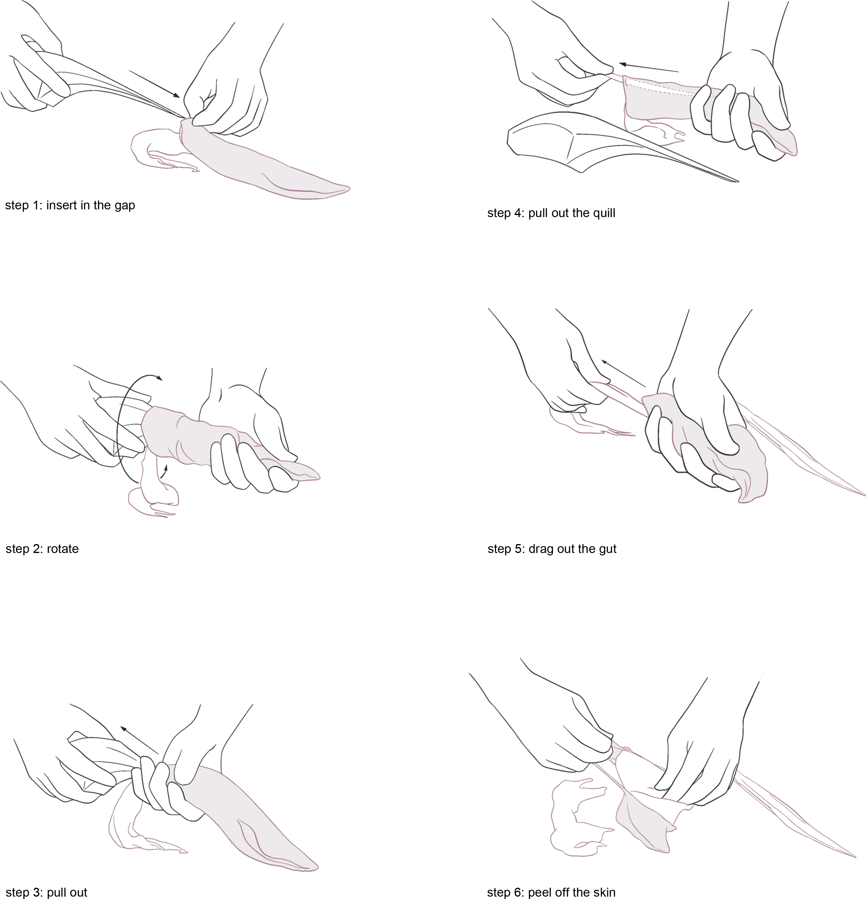 asa