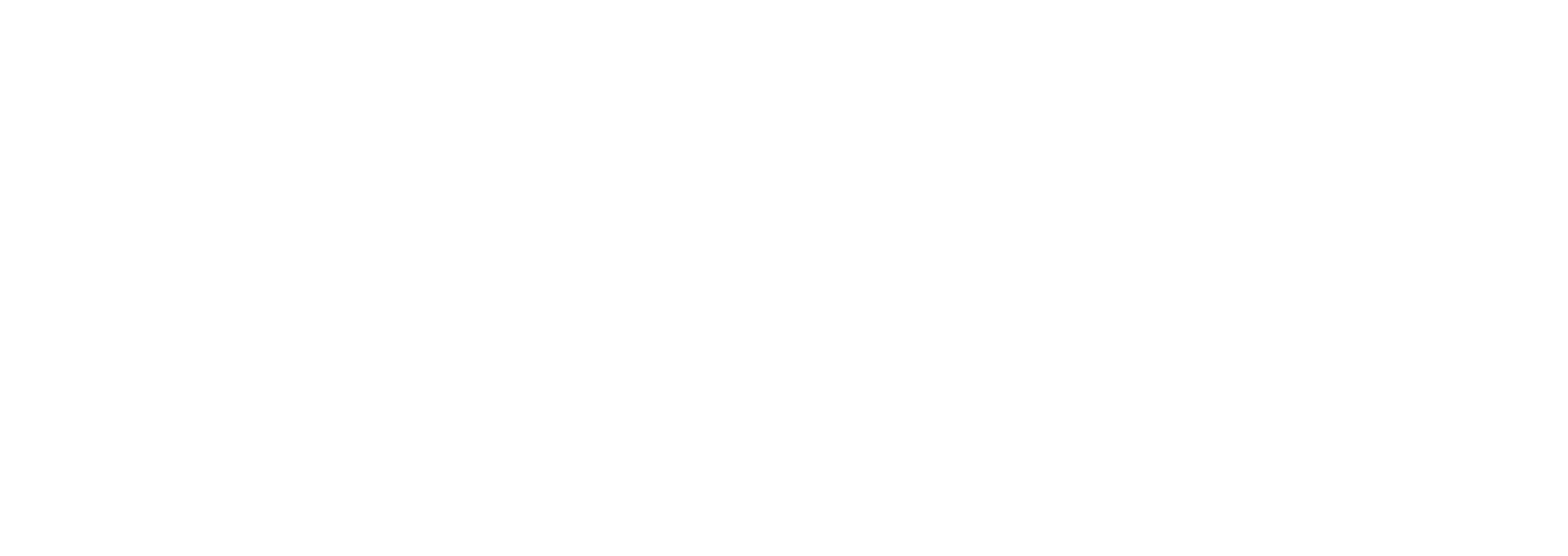 YR1 MFA Fine Arts