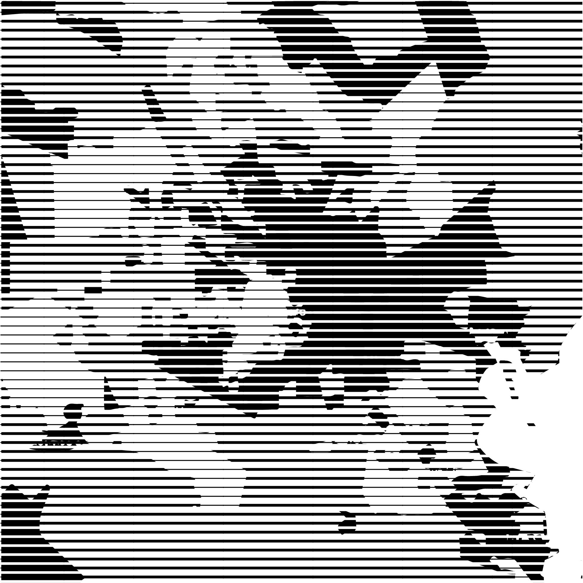 Series of Horizontal lines that changes in thicknesses that draws out the region of social scarcity, wealth disparity, and its correlation with energy insecurity.