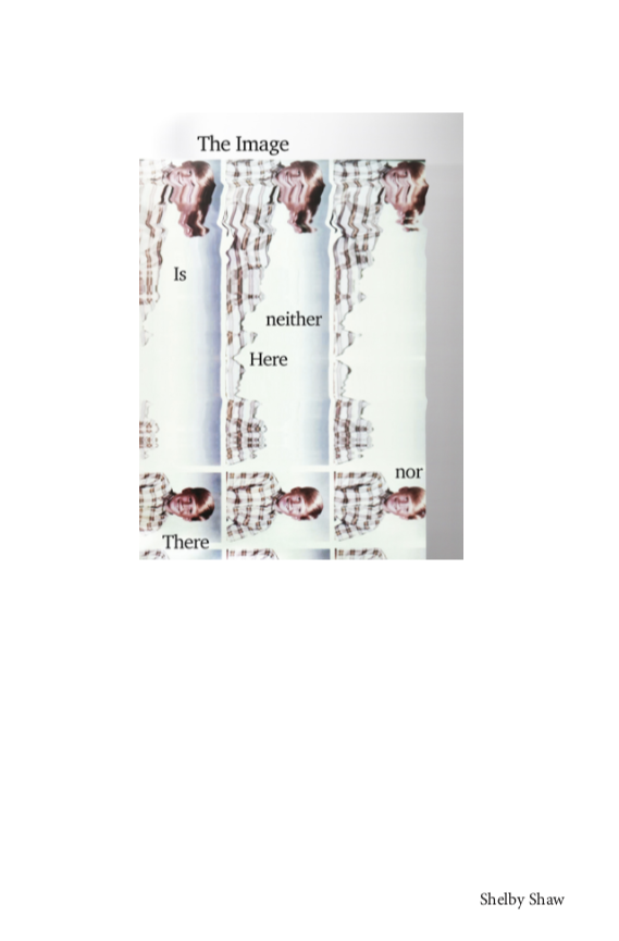 The cover of my thesis book is stark white with my name, Shelby Shaw, printed in black text in the bottom right corner, and in the center of the image is inserted a second image, a distorted color scan of a contact sheet of school photos of my father around the age of 10.