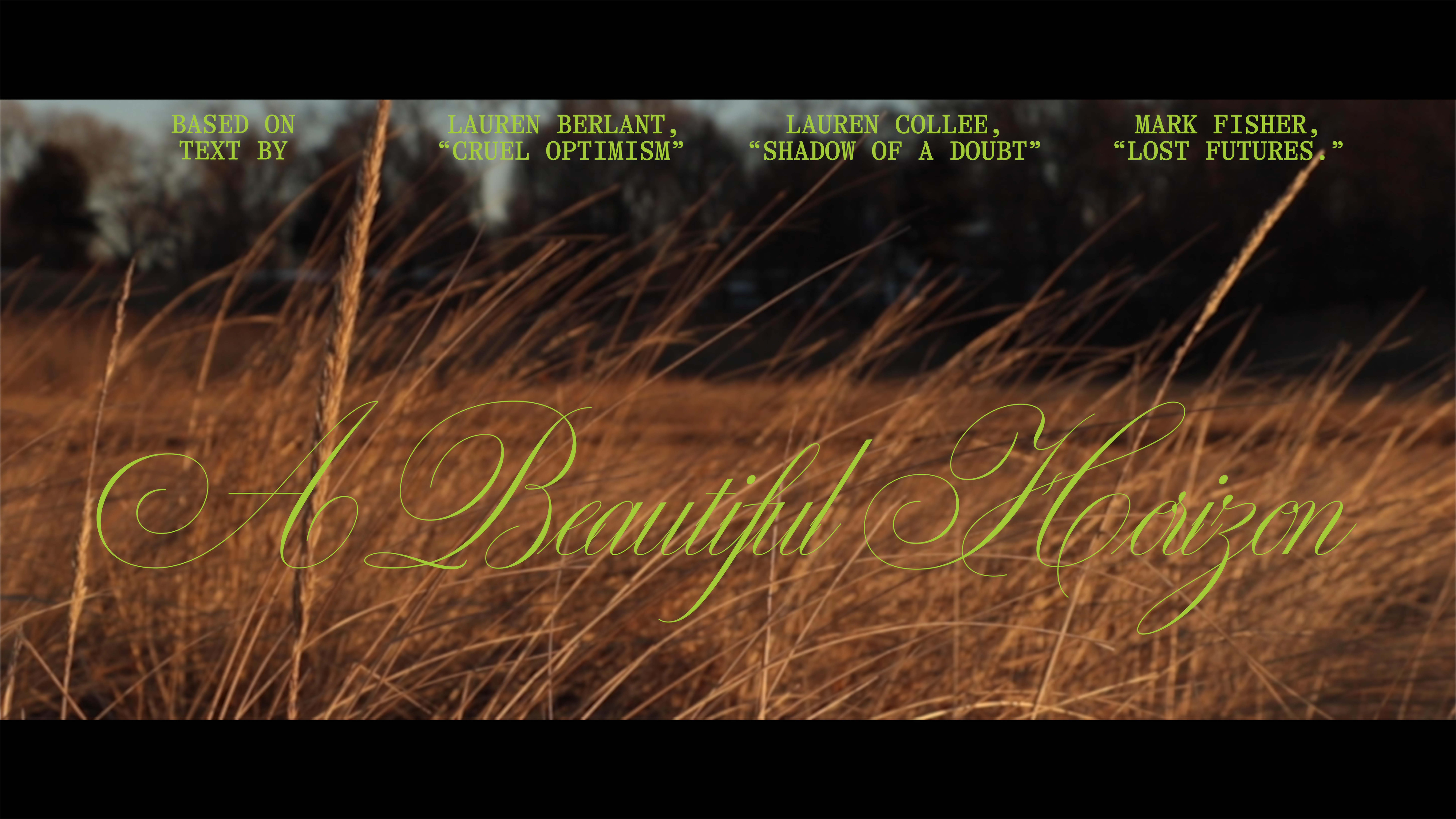 A video showing a wheat field with a title card overlaid that says: "A Beautiful Horizon." 