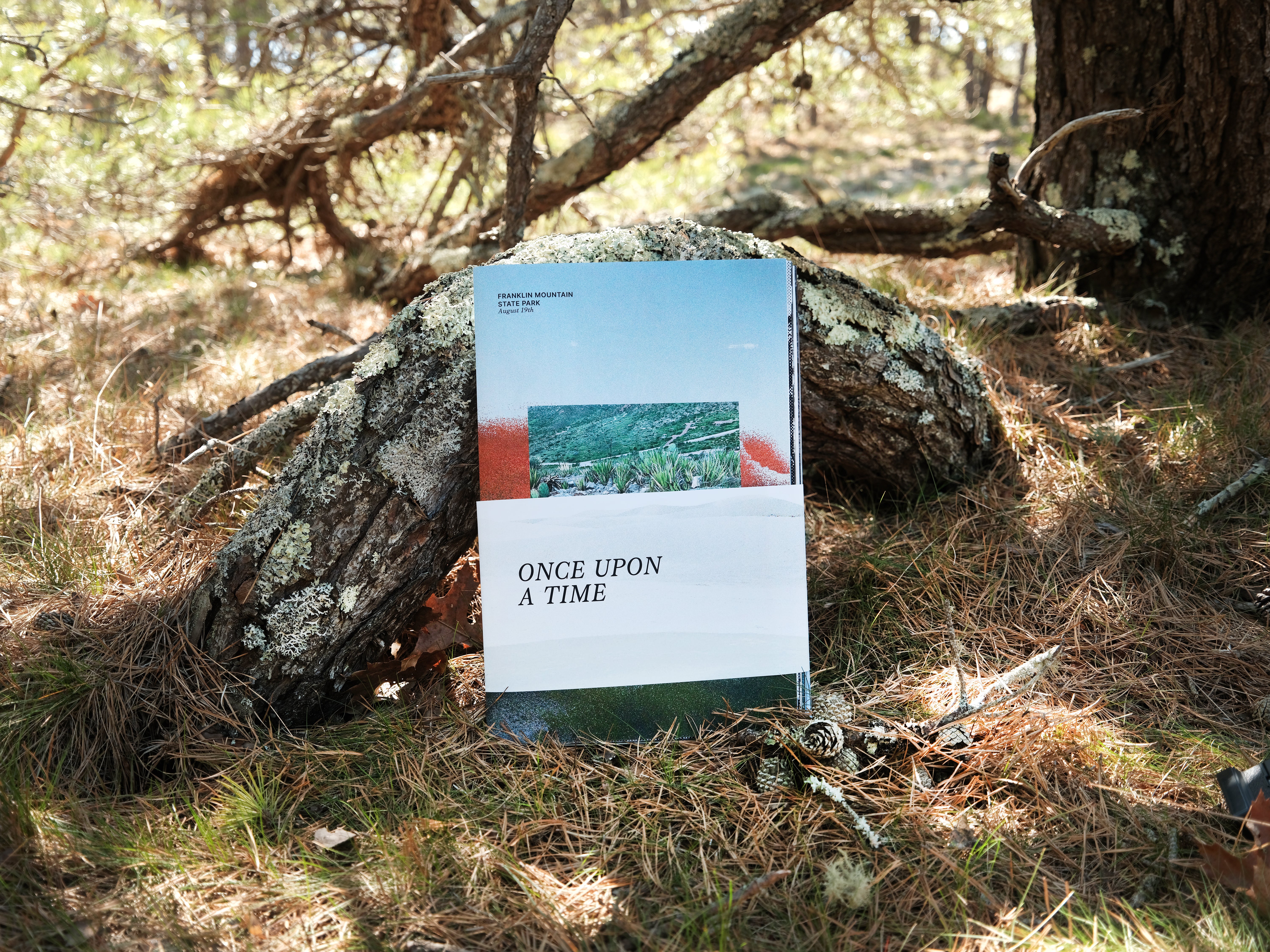 Photo of the book cover.