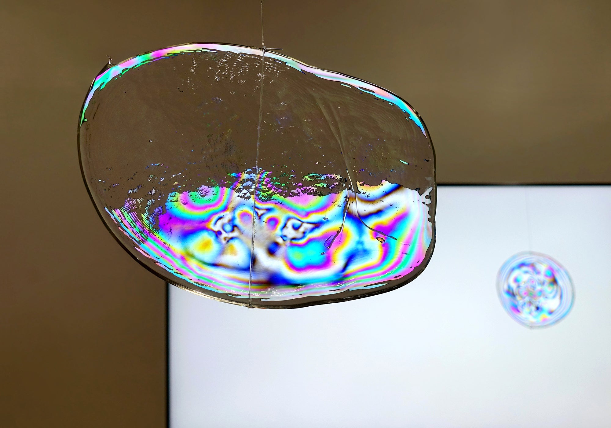 Detailed photo of the 'Hidden Colors'