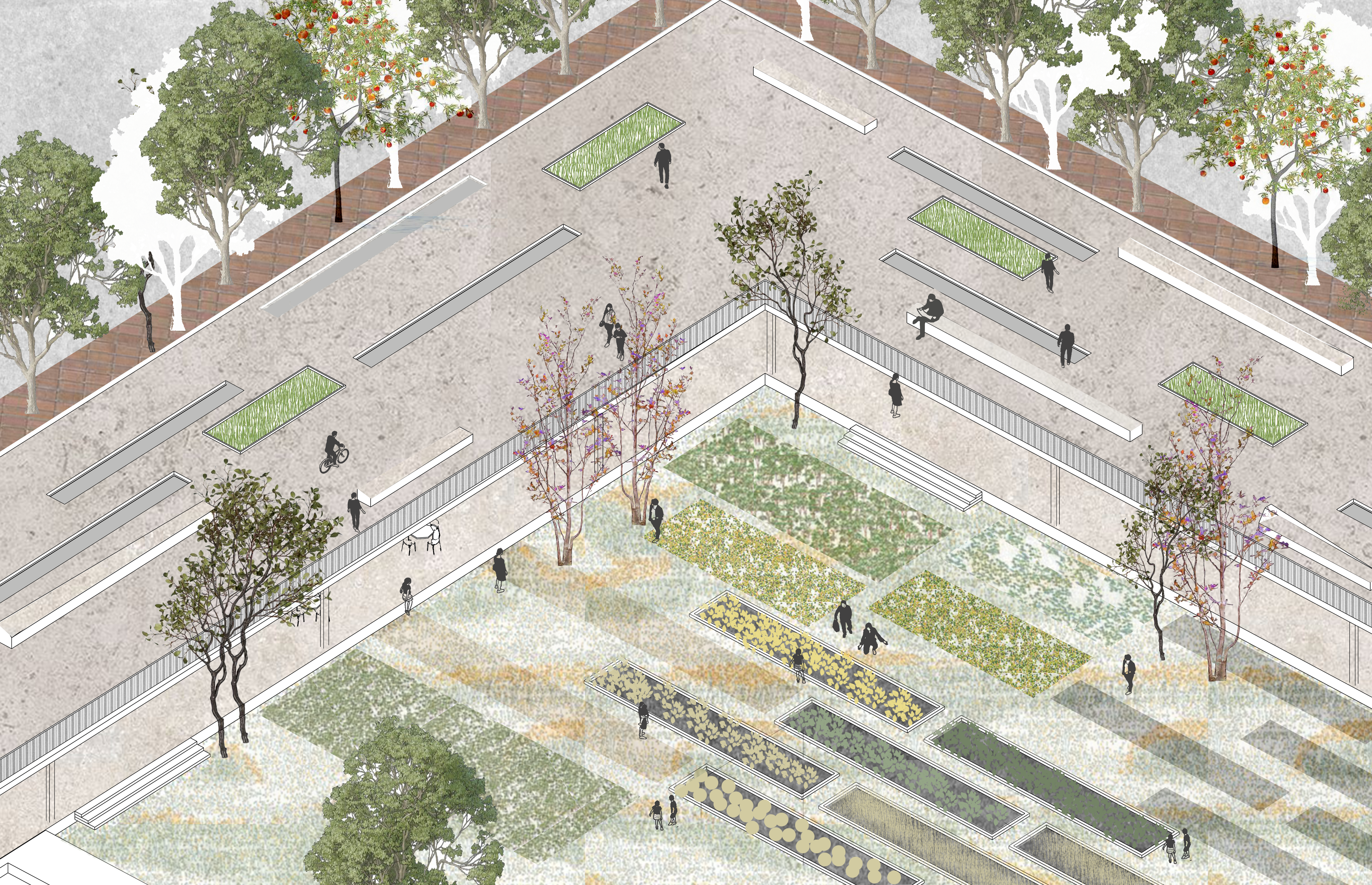 The roof of the intervention doubles up as public plaza as well as a gallery that views into the cultivation areas. This invigorates curiosity and also creates an interesting grid with benches, green spaces and skylights.