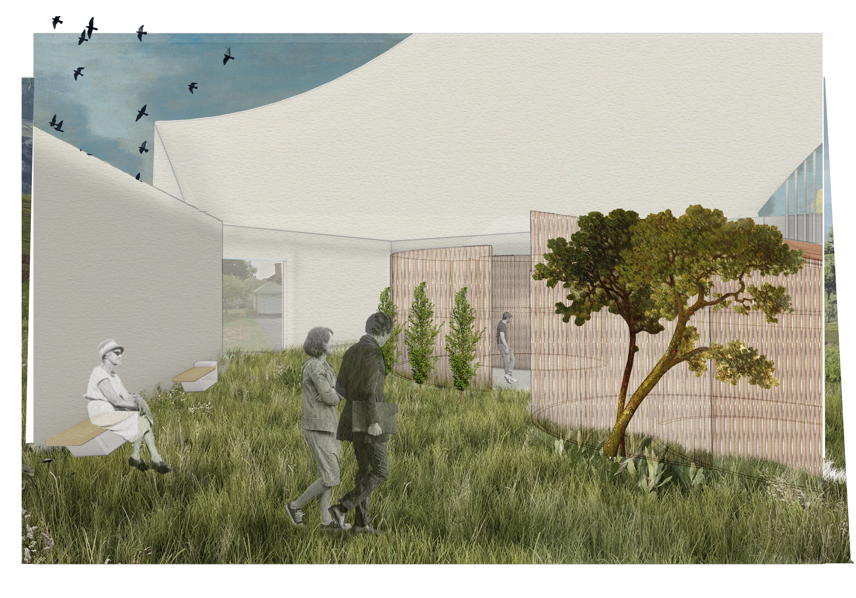 Images of people in a grassy area with wooden treatment rooms, some are relaxing, some are walking further into the space