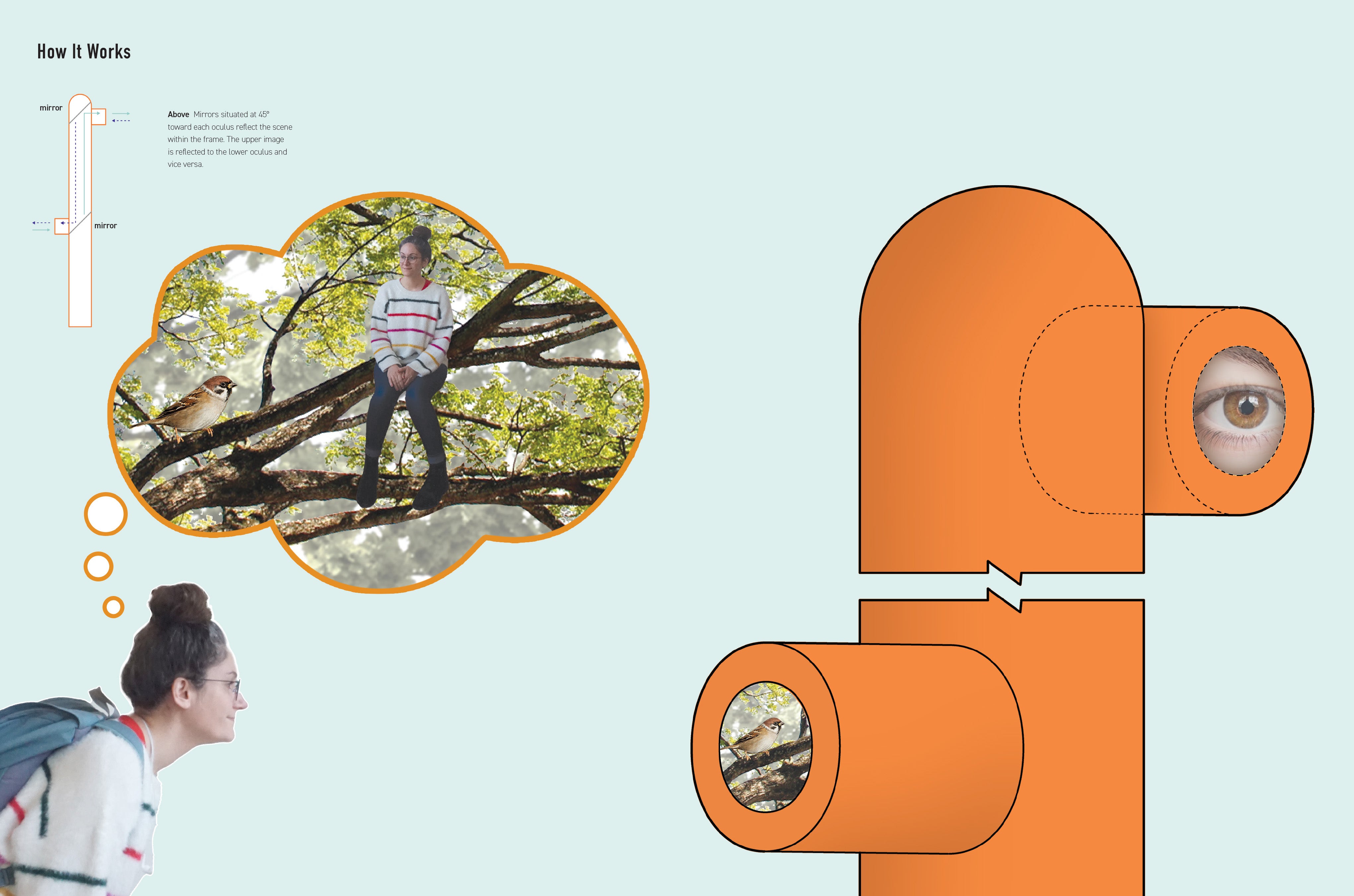 a graphic show how the periscope works—the user feels as though they are in the treetops along with the birds
