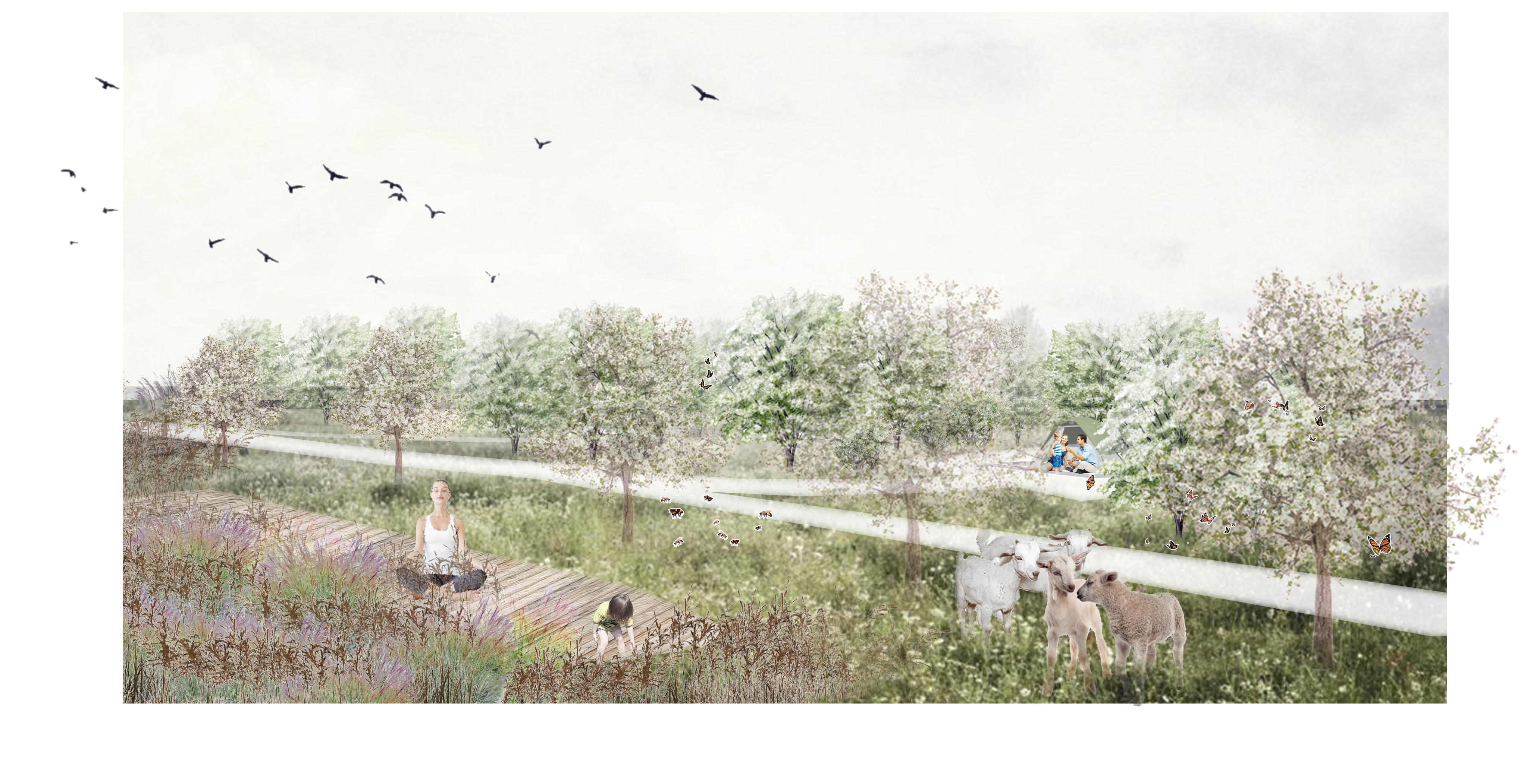 People enjoy camping while surrounded by fruit trees and hedgerows.
