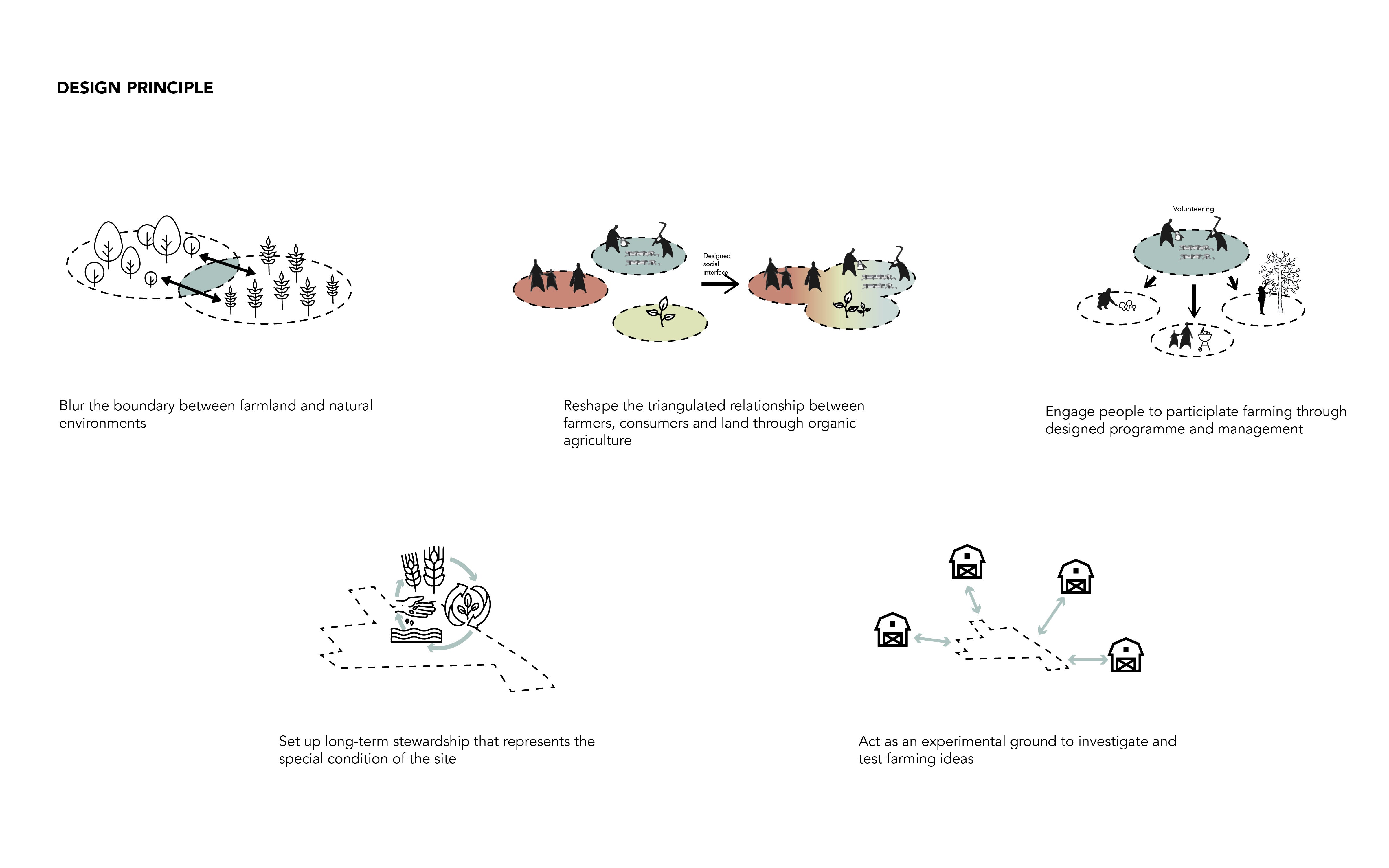 Five design principles to set guidelines for the site design.
