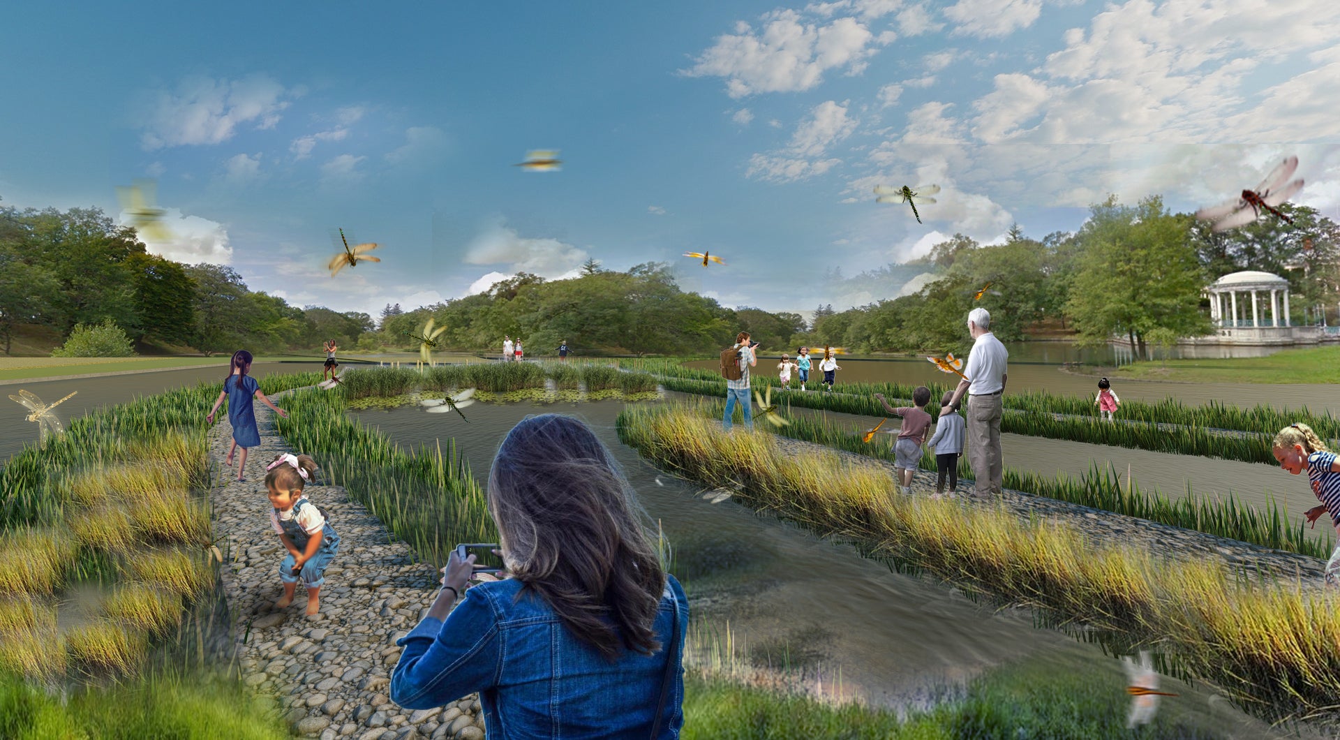 Different wetland plants on the side of rock berms create suitable habitats for dragonflies and help clean the water.