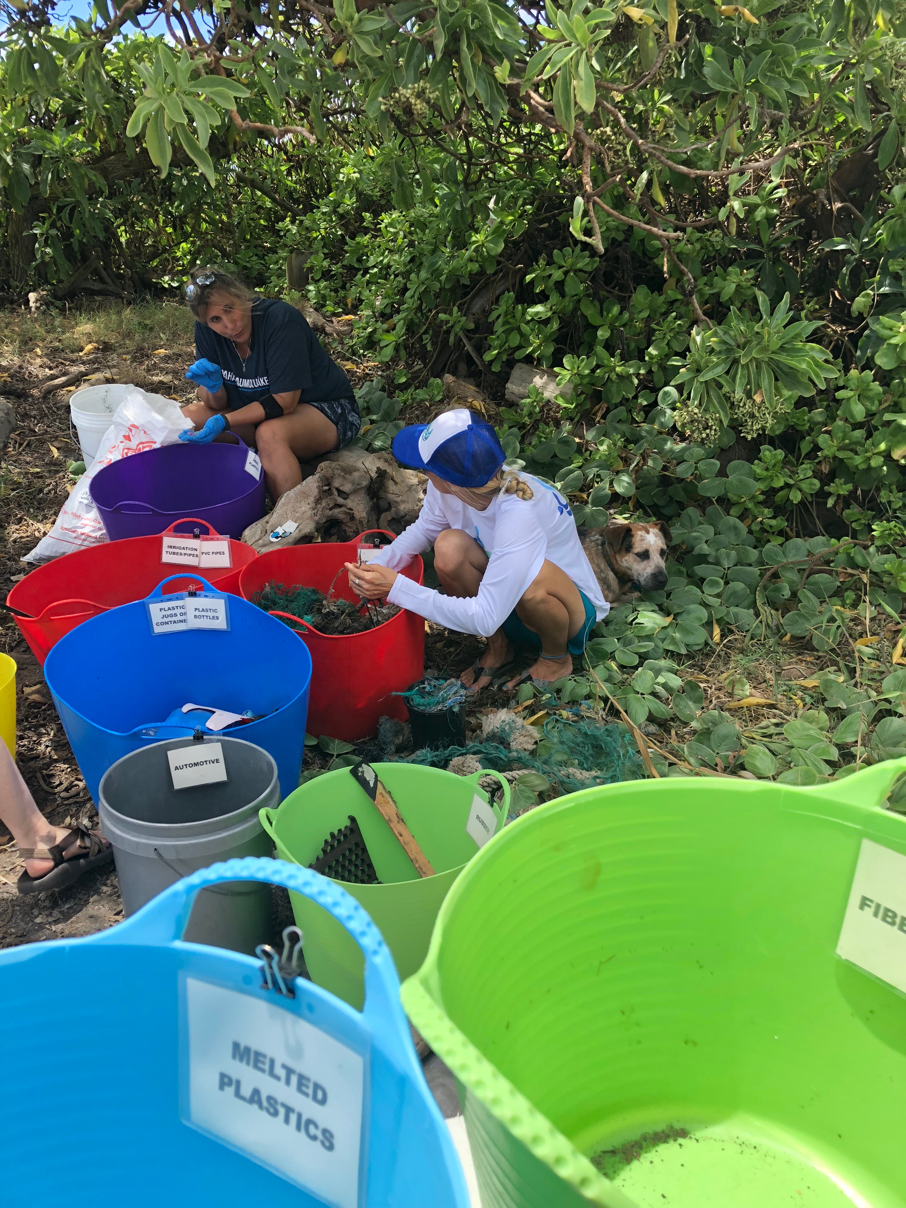 Marine biologists and volunteers sort trash found on a beach in Maui.