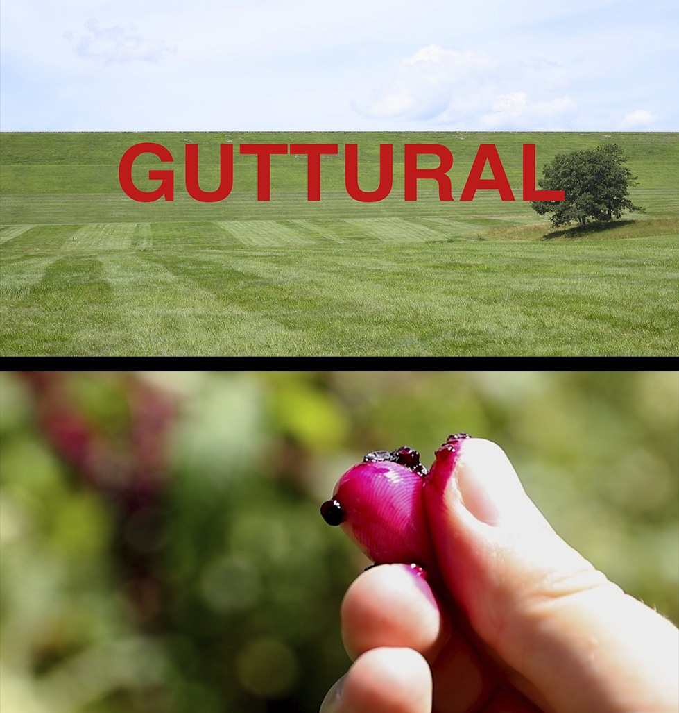 A video still of a single tree in a eerily perfect field with the text "guttural" across the image. Next to it is another video still of a red berry being crushed between two fingers. 