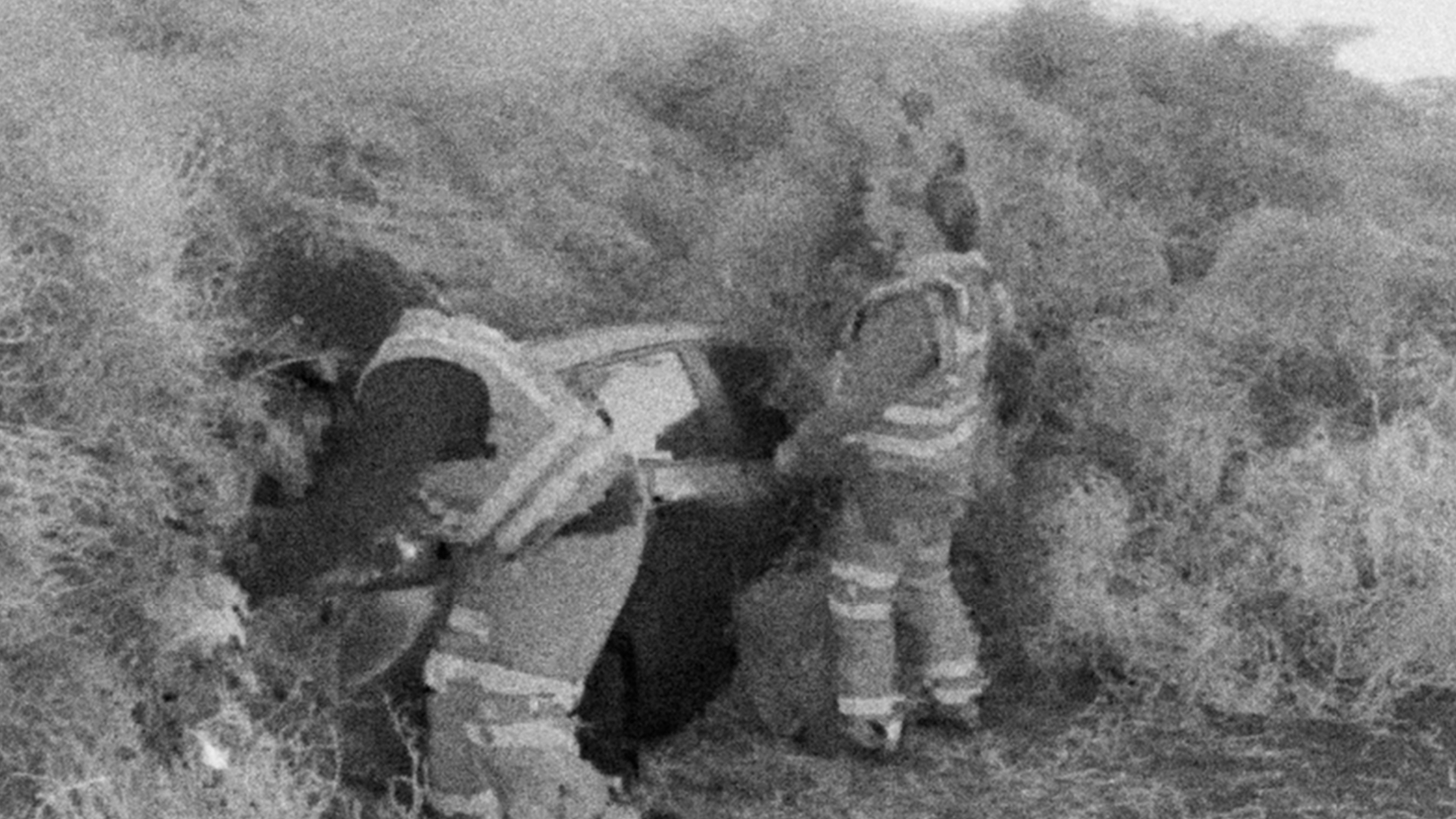 A screenshot from newsfootage covering "tumblegeddong" where 30 foot high waves of tumbleweeds swallowed cars. 