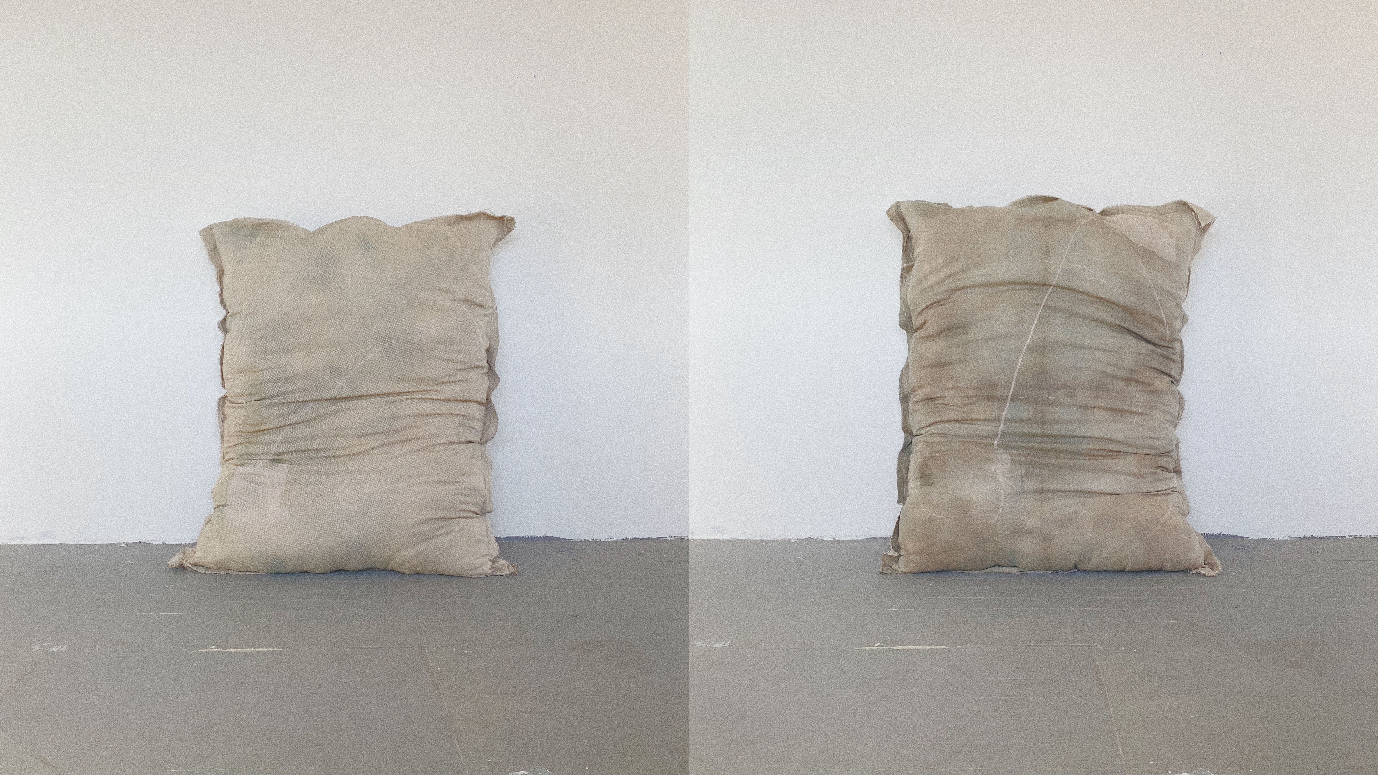Two pillow side by side with front and back avocado imagery.