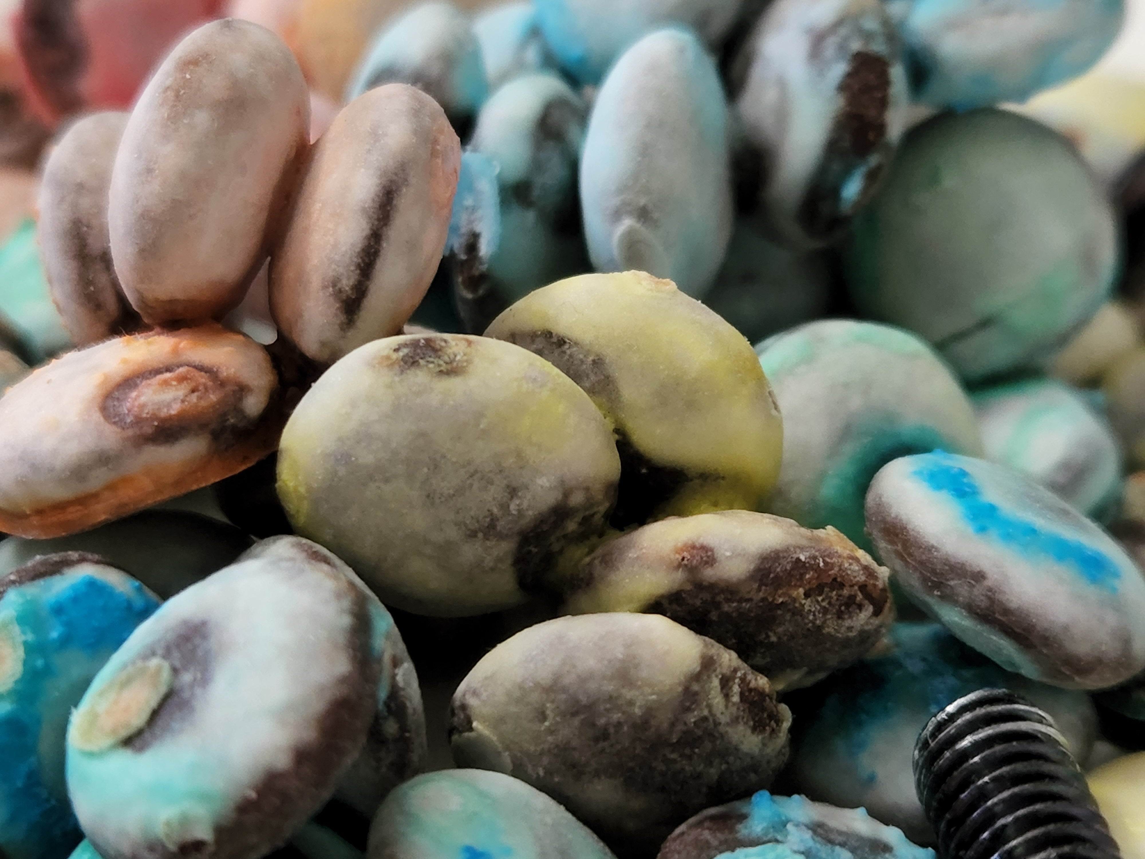 Discolored M&Ms candies on a white ceramic plate, together with screws