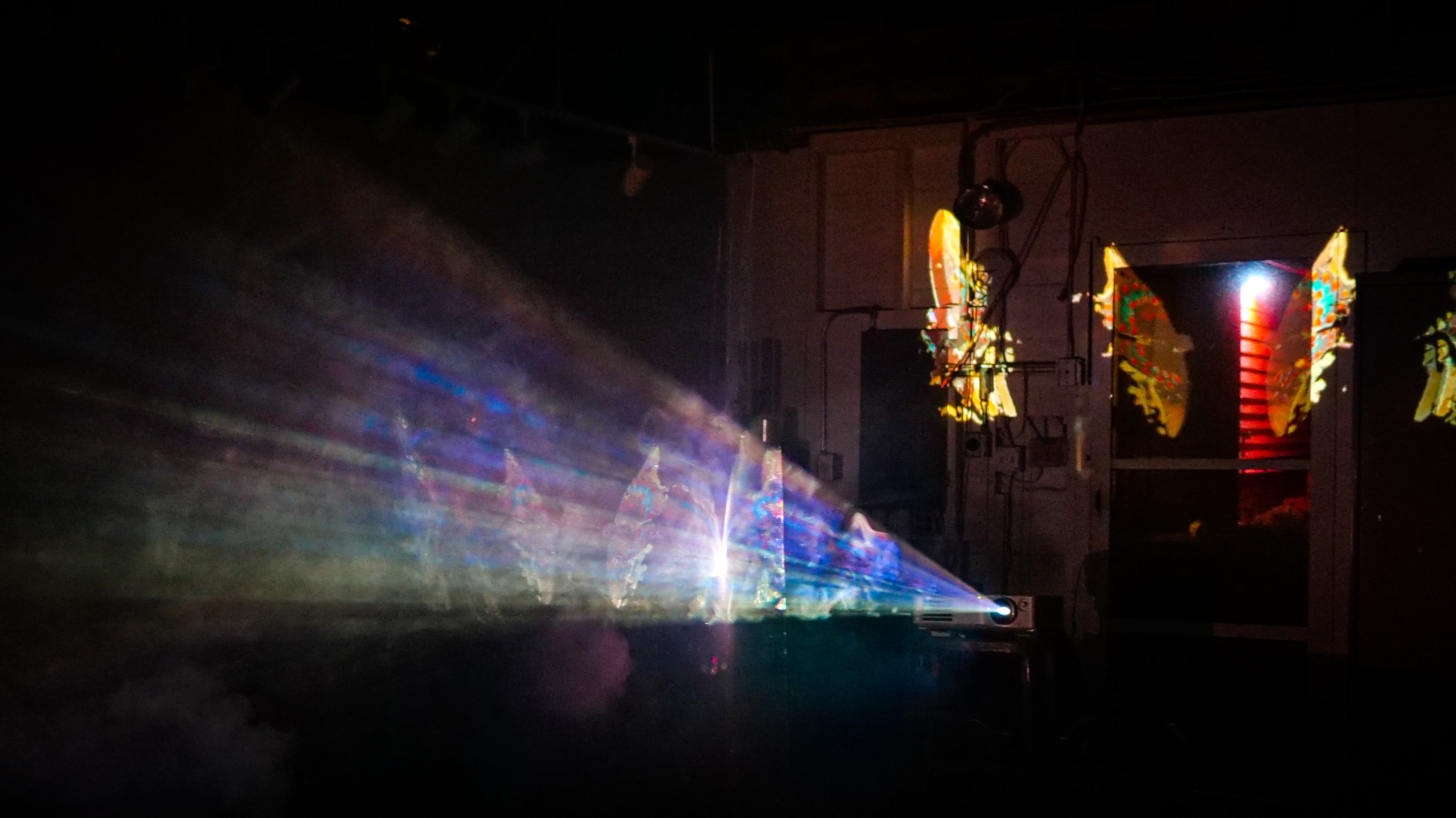 Photogrammetry animation and microscope video of a butterfly cross-projected on fog and acetate.
