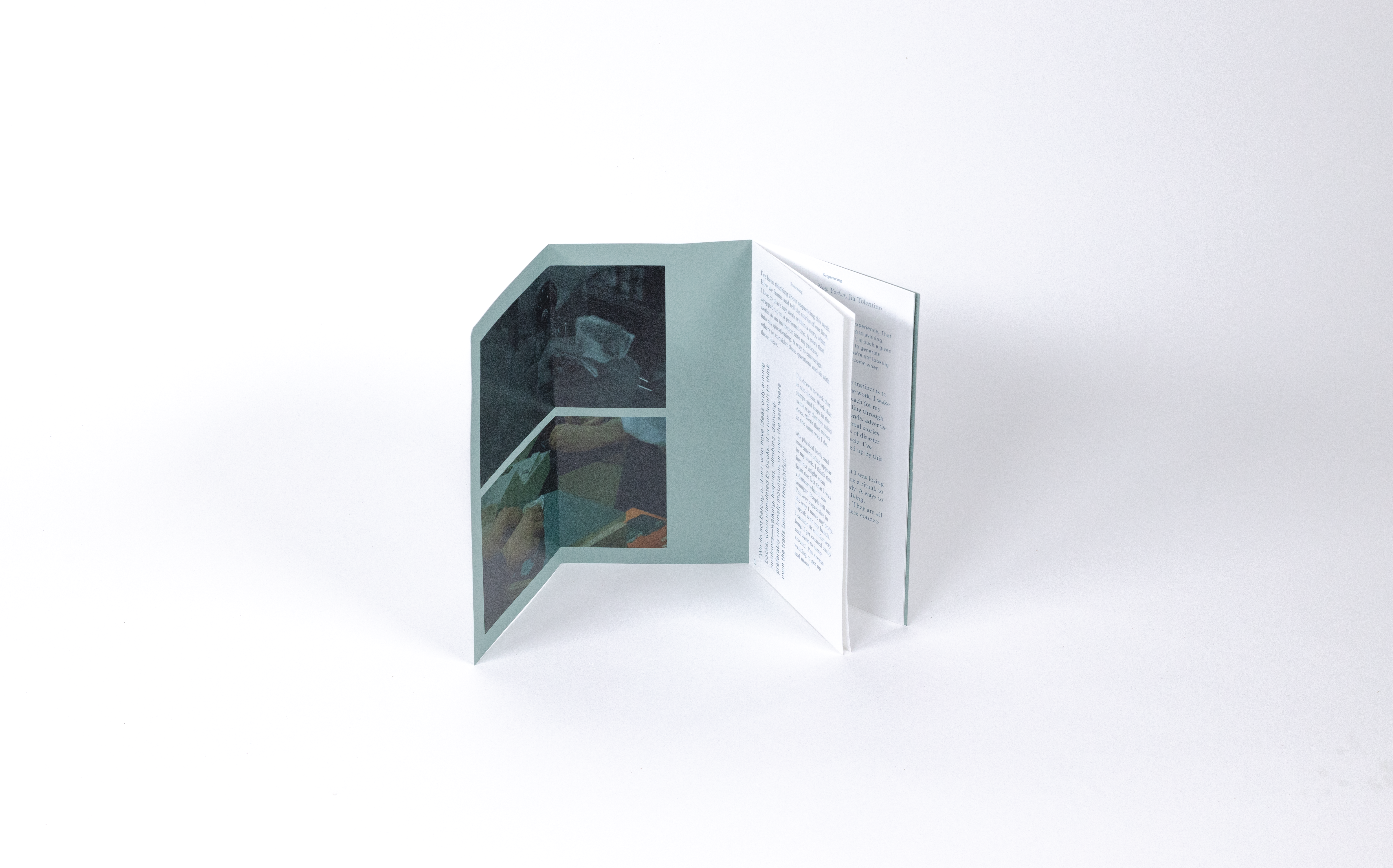 A photograph showing one of the books. 