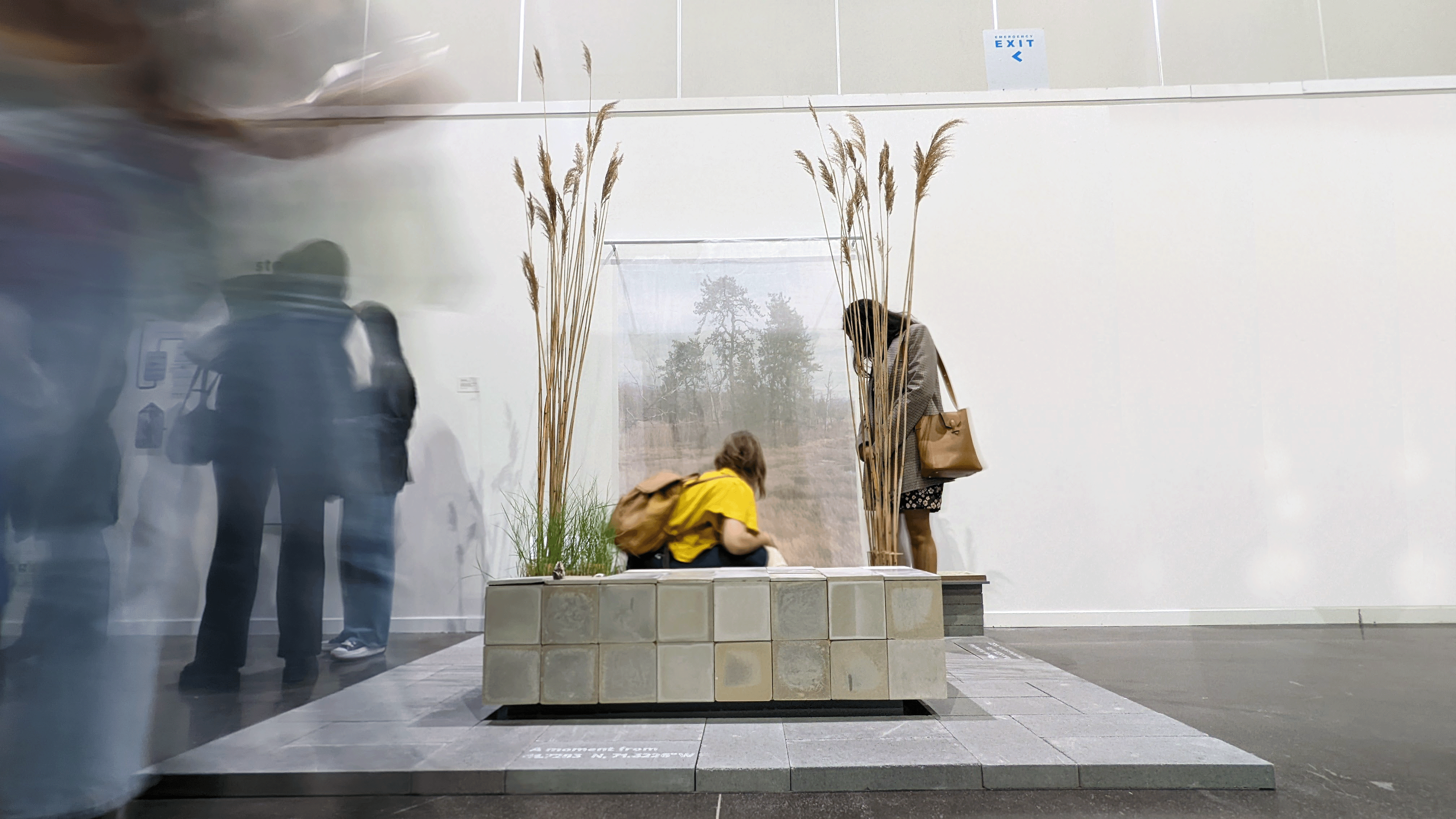 Audience engaging with the installation