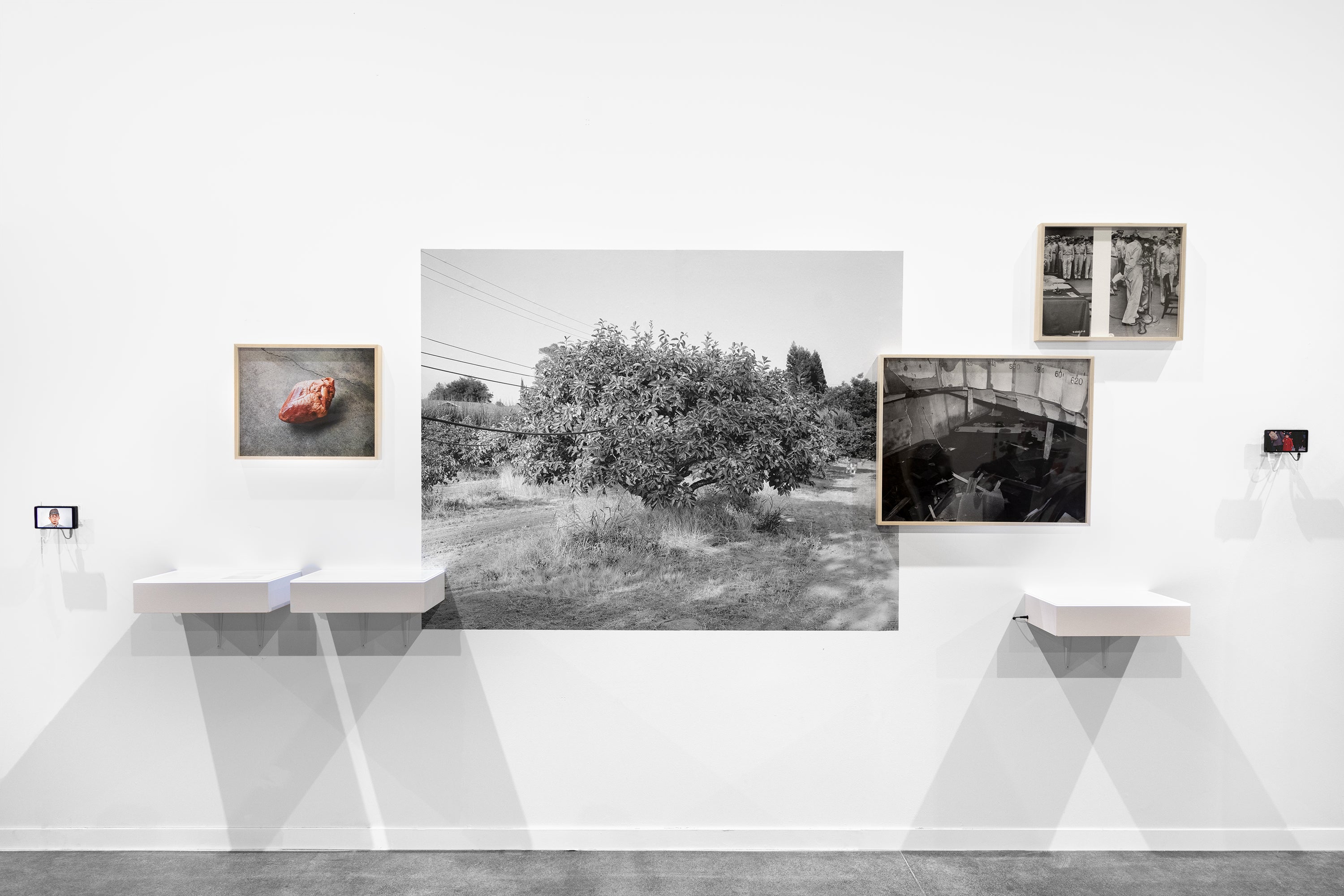 Photographic documentation of "Dead Letter Room" installation, spanning the entirety of the exhibition wall.
