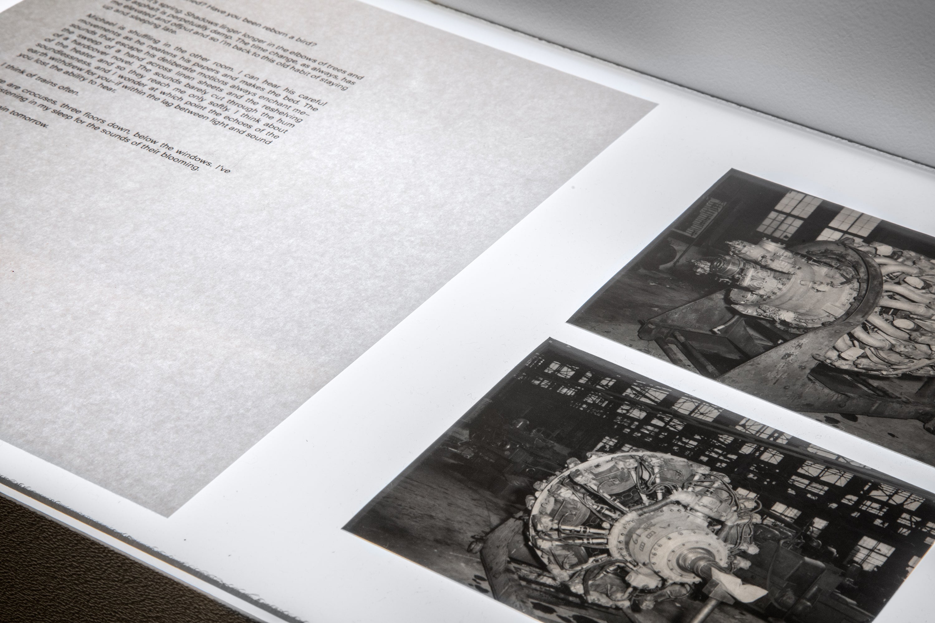 A detail photograph of a letter and two photographs placed on a Lightbox.
