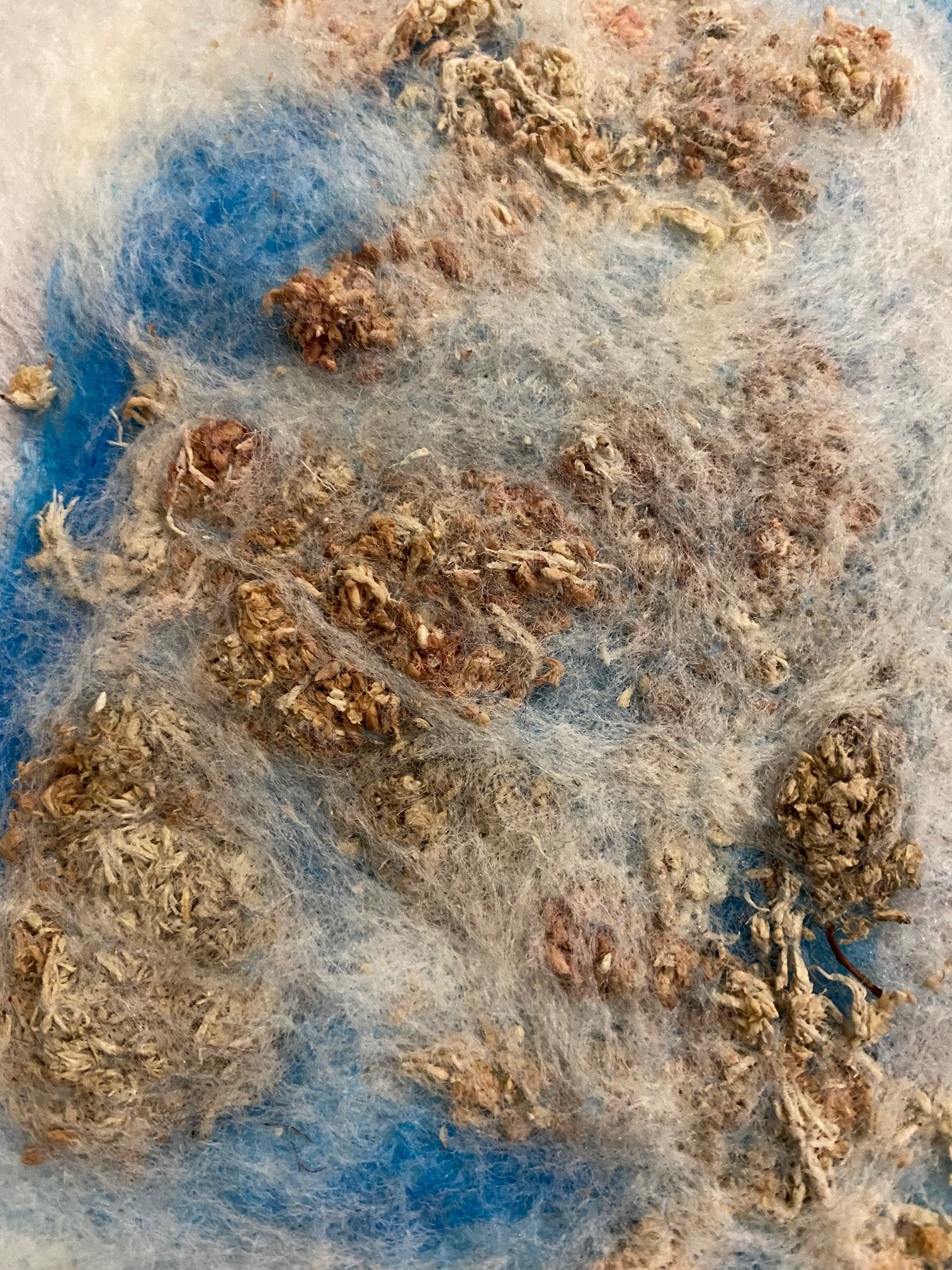 blue and white wool fibers felted into dried plant material