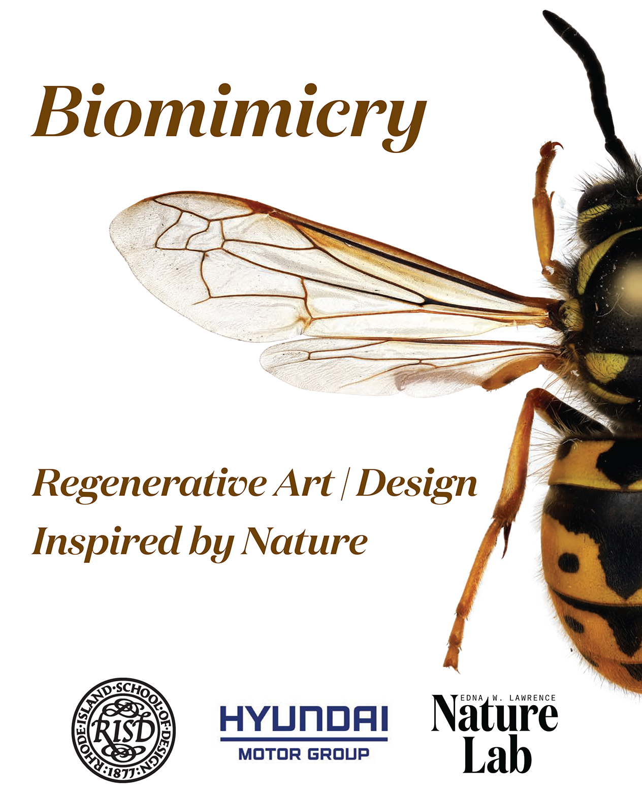 A close-up image of a bee with wings outstretched. Text: Biomimicry: Regenerative Art/Design Inspired by Nature