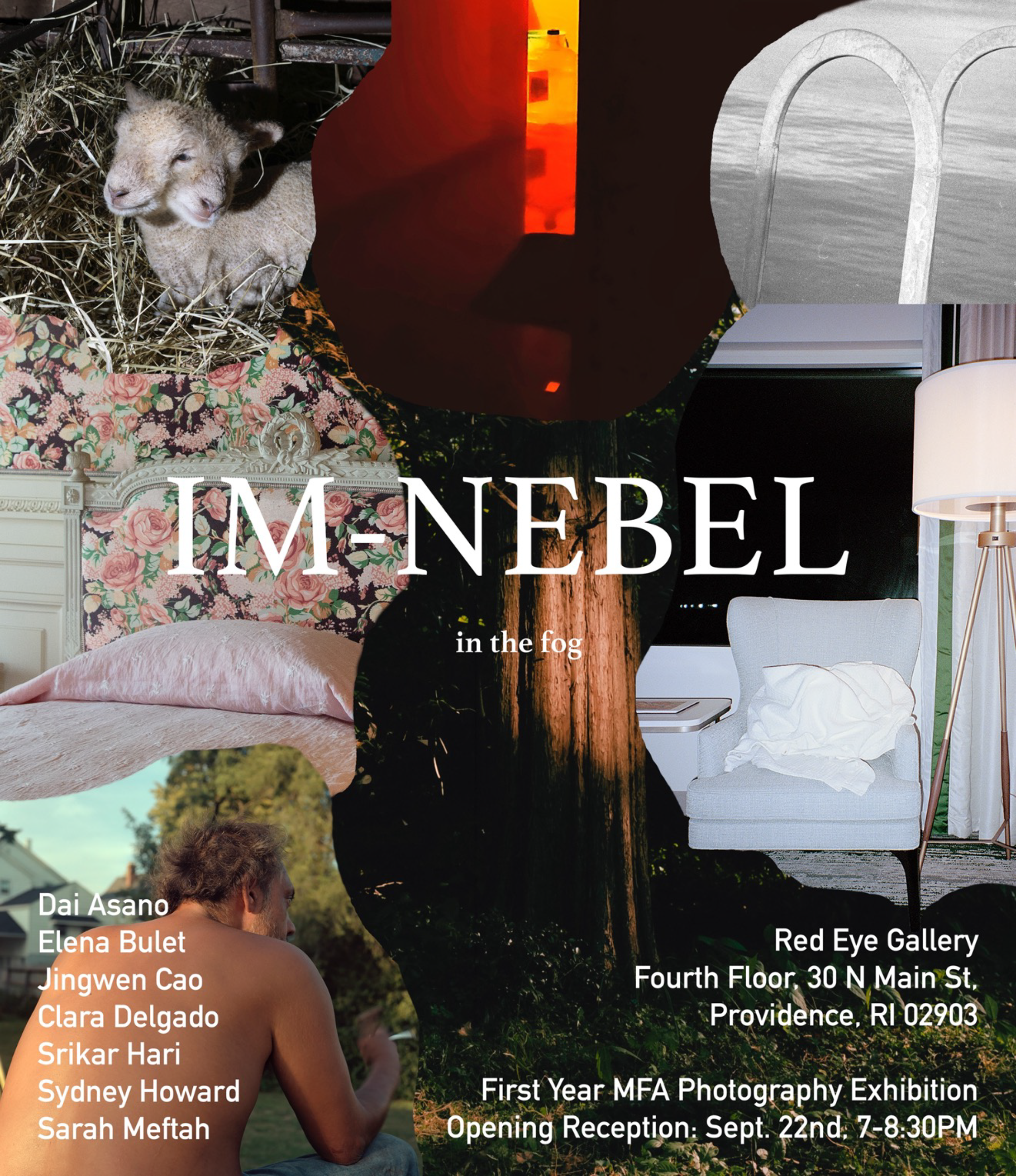 Poster with collaged photographs and the text Im Nebel (in the fog).