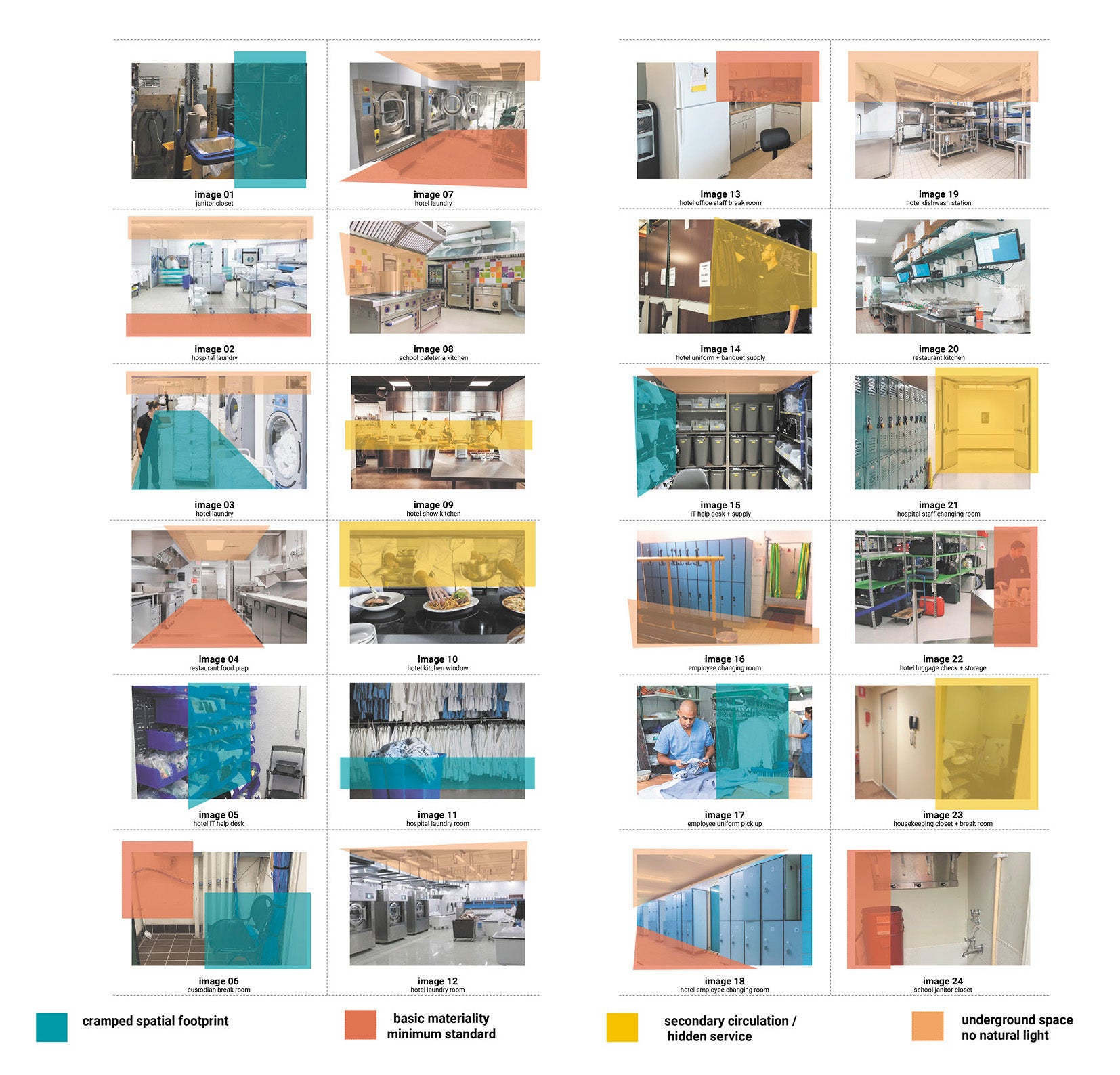 Figure 02: Residential Toronto Neighborhood Rewilded  