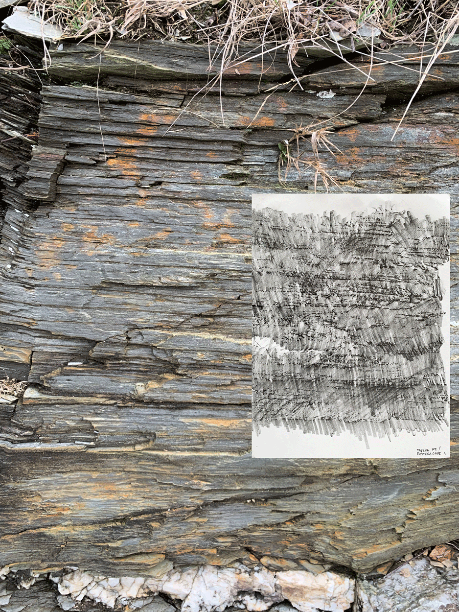 Animation of texture rubbing fading into rock at Taylor Point on Conanicut Island, RI