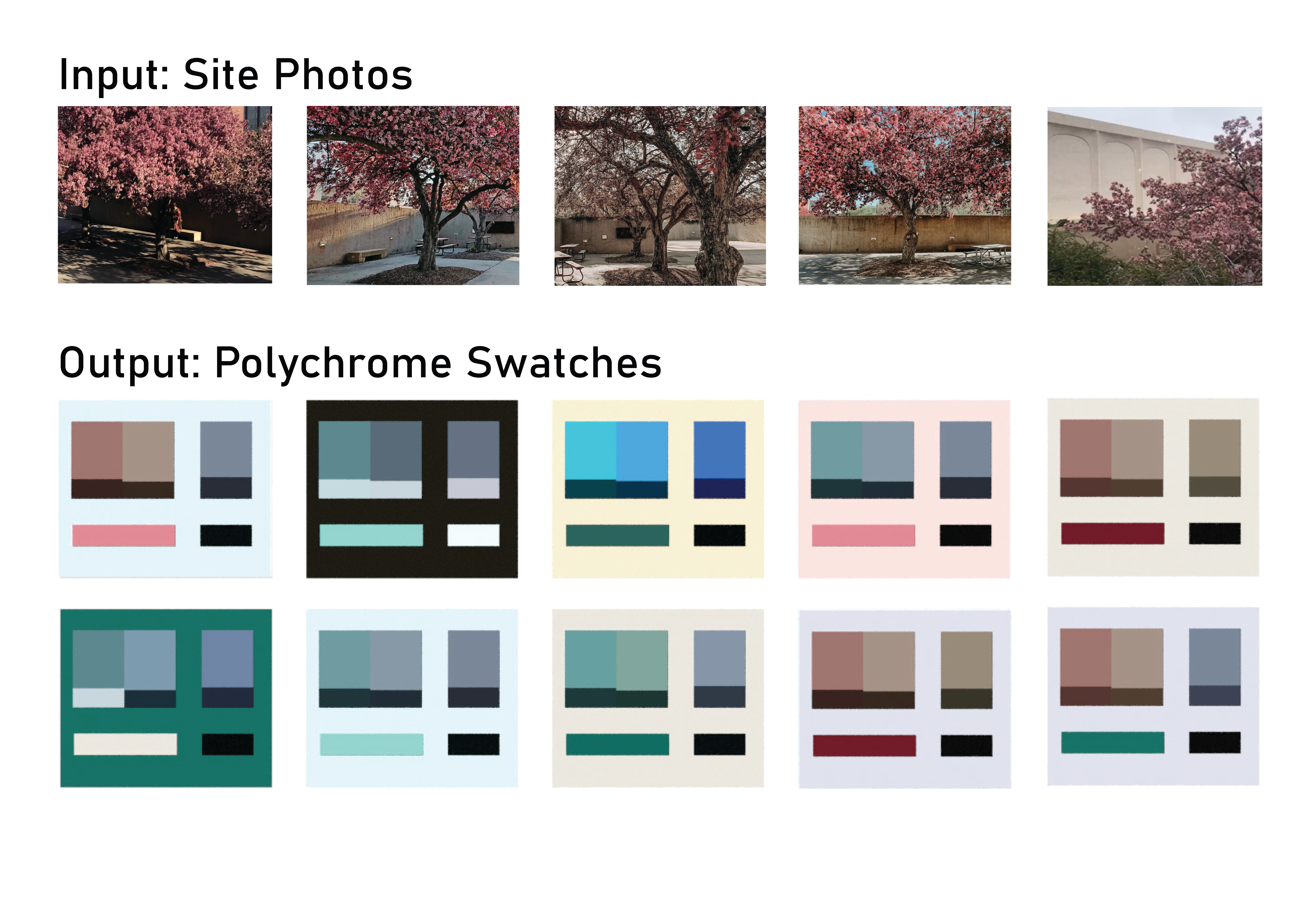Five photos of flowering pink trees in the concrete sculpture garden next to the Sheldon Art Museum and 10 combinations of color swatches that coordinate or contrast with the input photos.