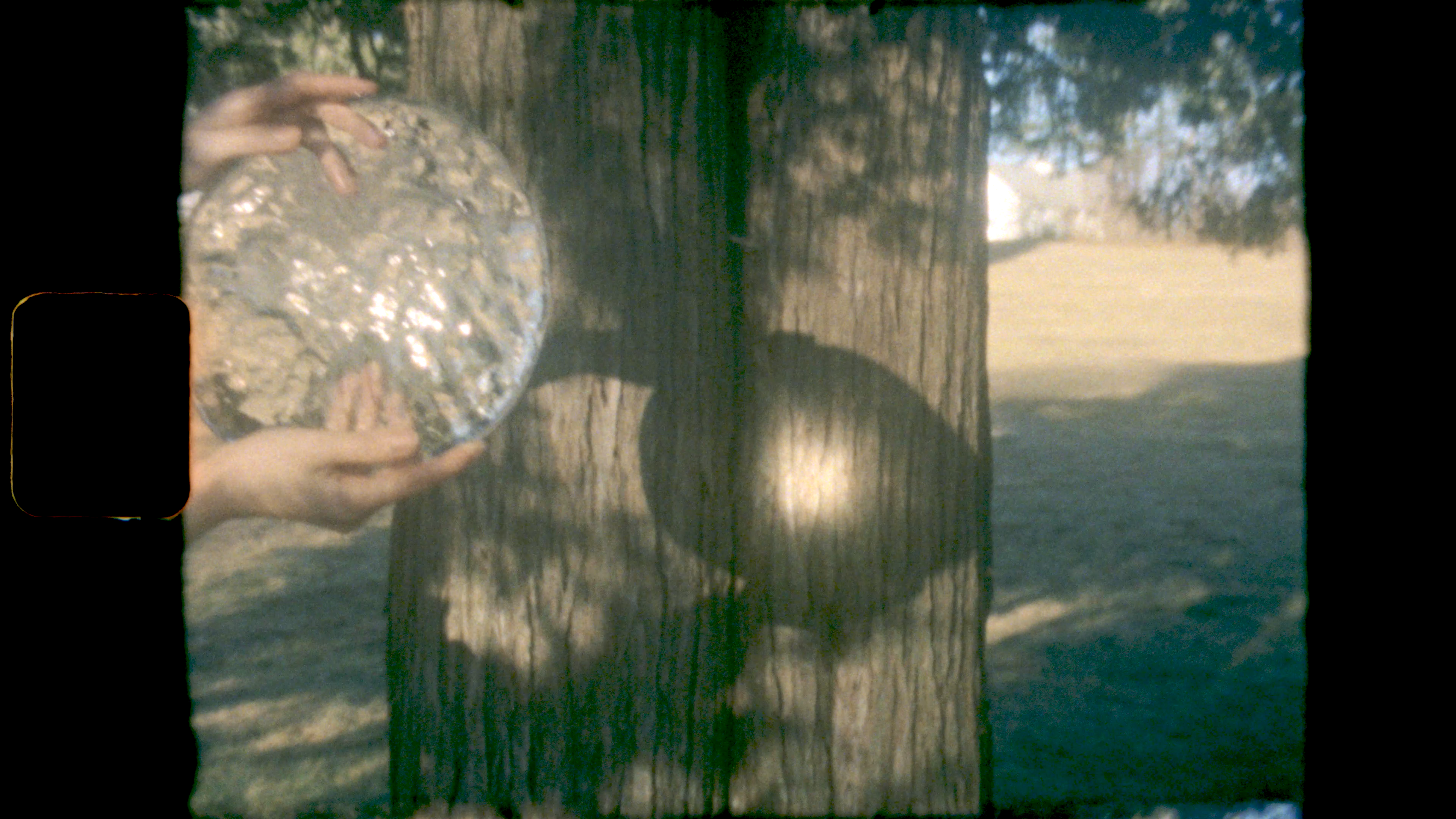 A person trying to focus on a tree with an ice lens.