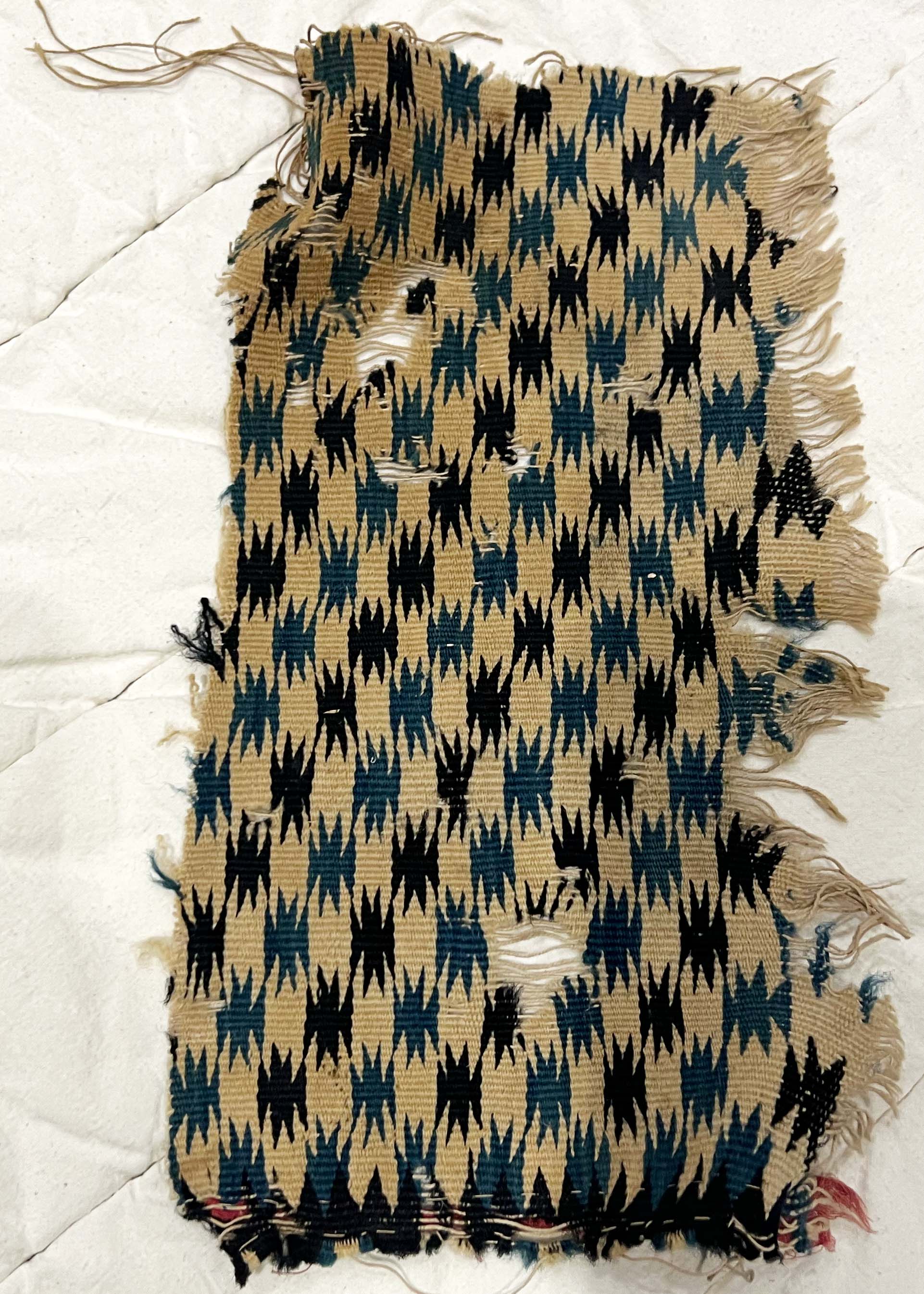 Blue and tan Mexican textile photographed at the RISD museum.