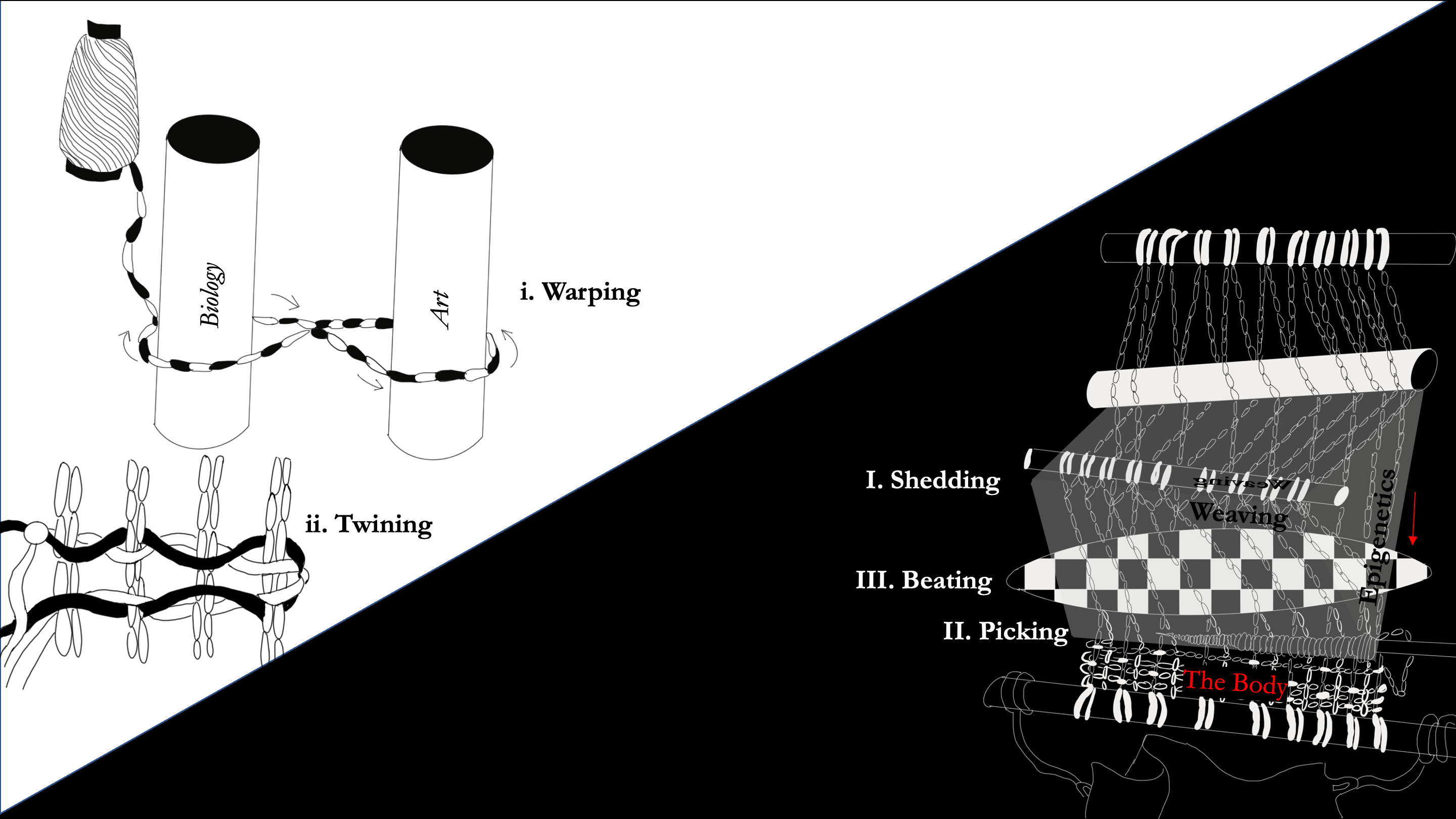 Diagram of the thesis structure as warping, shedding, beating, picking, and twining.