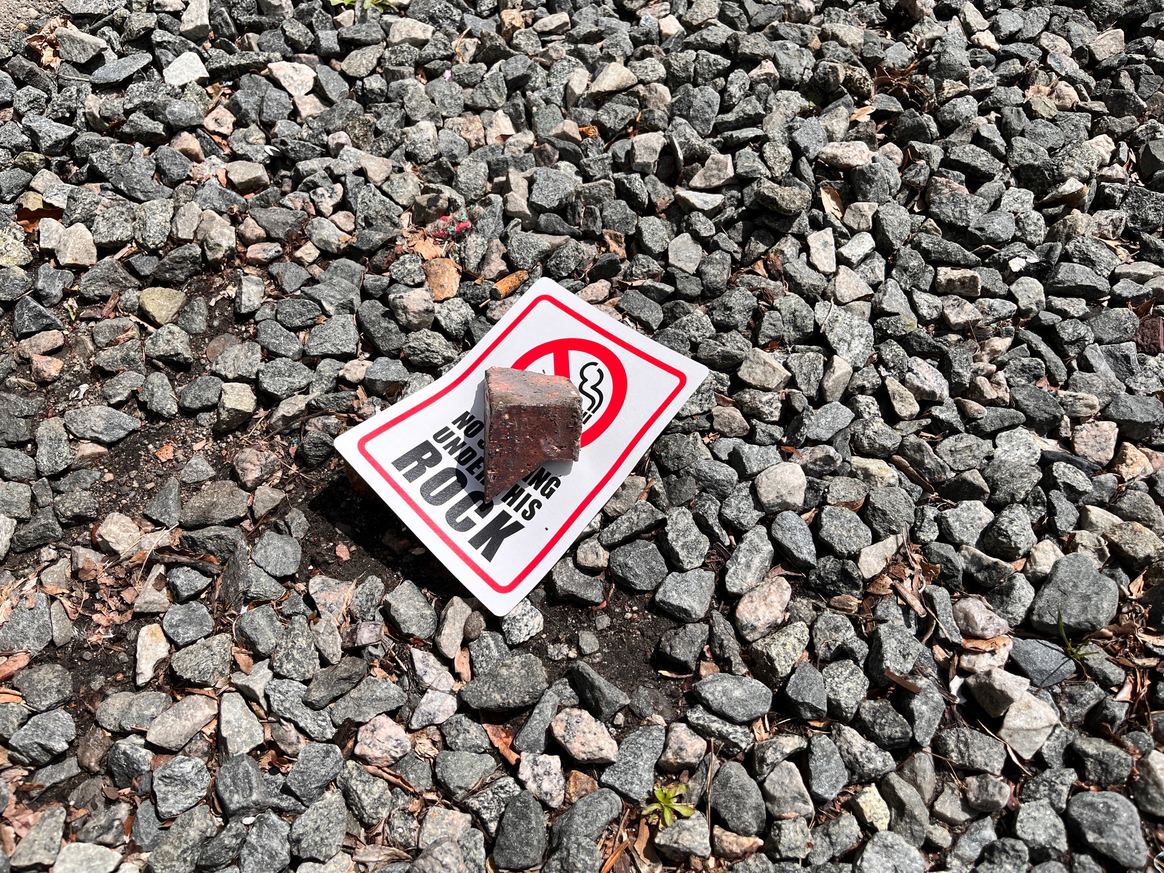 appropriation of the No Smoking Sign