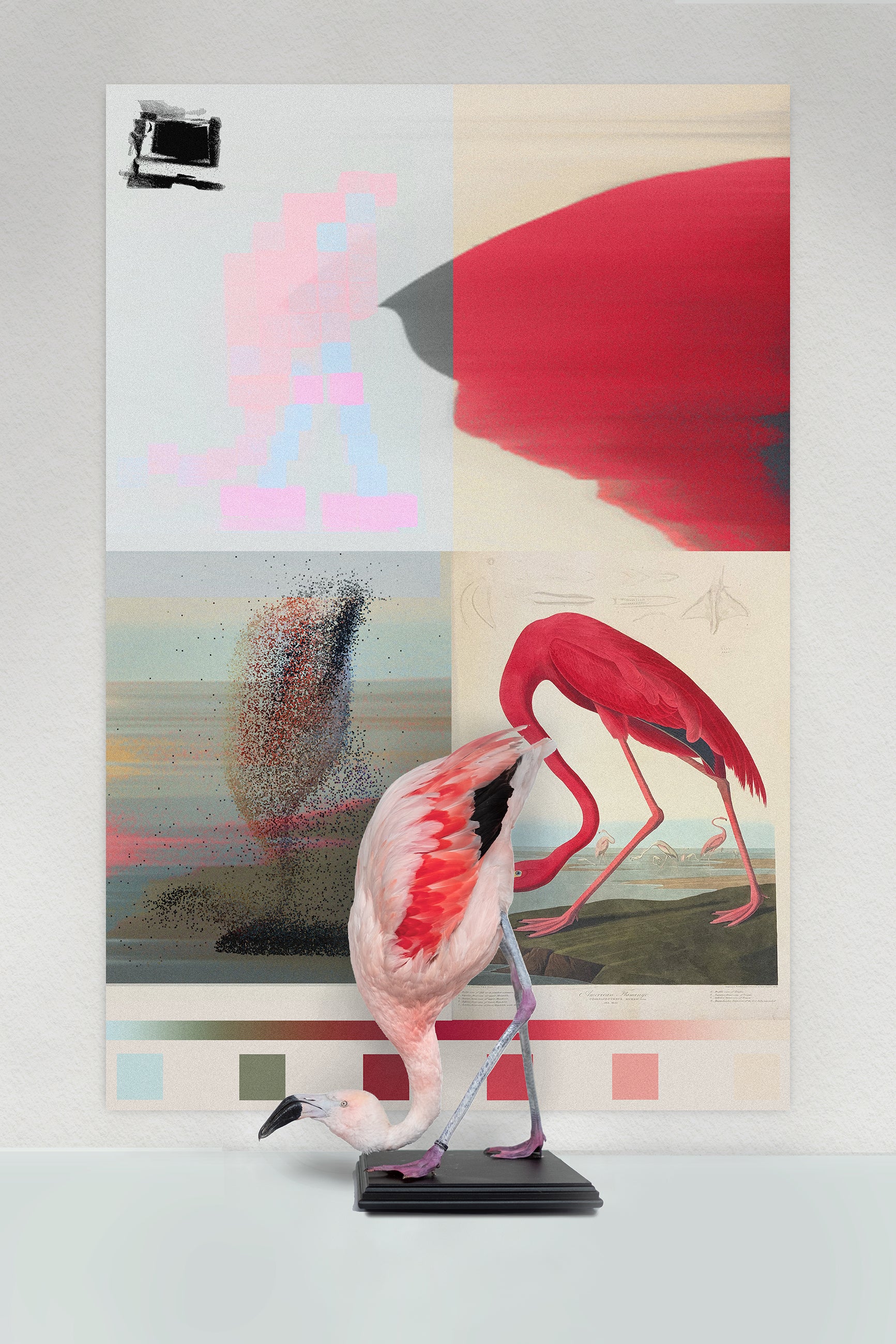 Re-inventing species through the study of color pixel information.