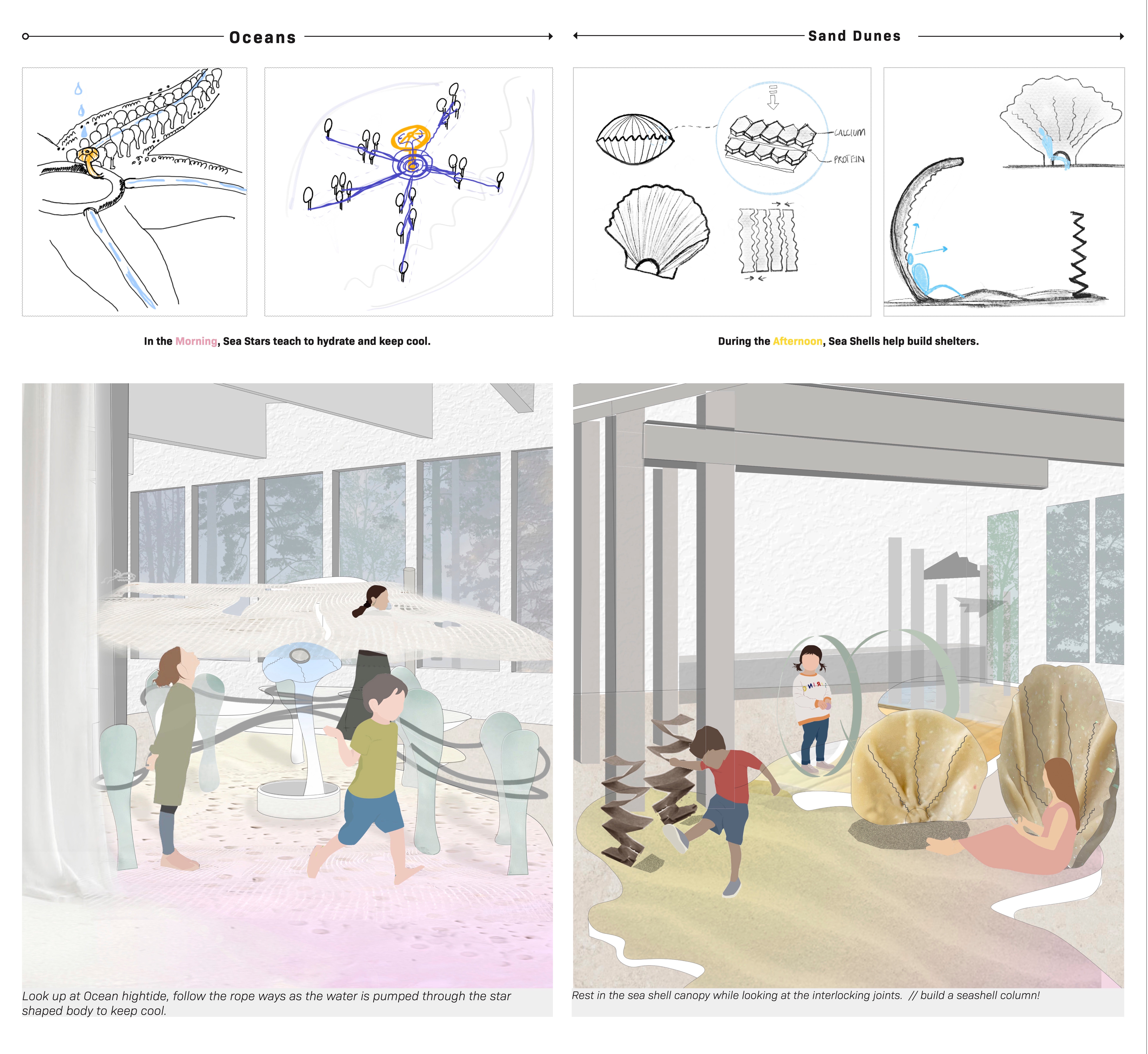 While navigating through the various zones, four concepts took shape translating- time of day, native ecosystems and their textural and materiality qualities and lastly, mimicing biomimcry actions corresponding to daily life survival tasks for the respective organisms in nature.