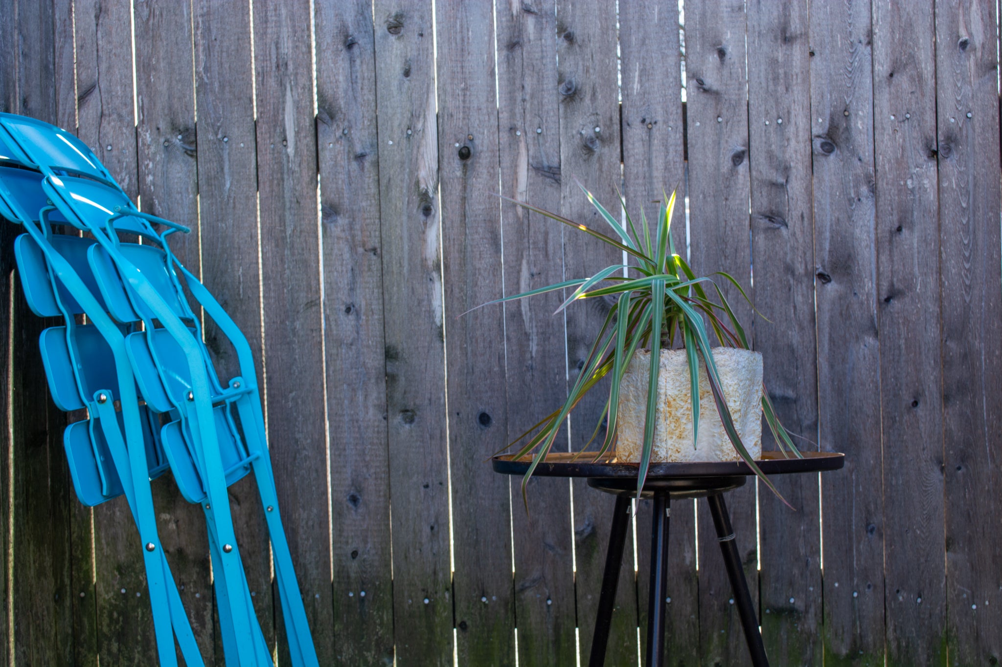 A mycelium-material planter with leaves in an outdoor garden setting 