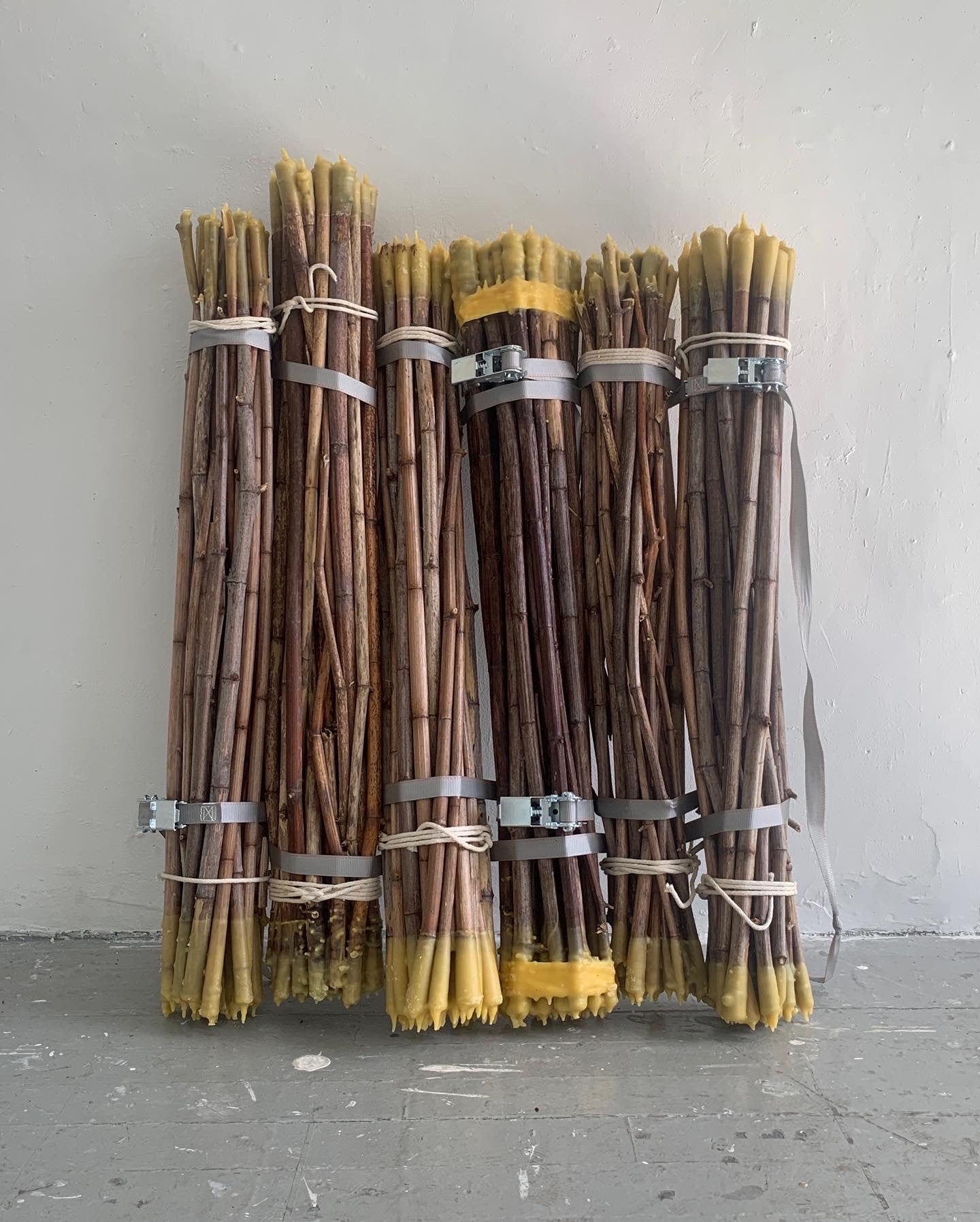 A raft made out of Japanese knotweed bundles bound together with rope and ratchet straps and capped with beeswax