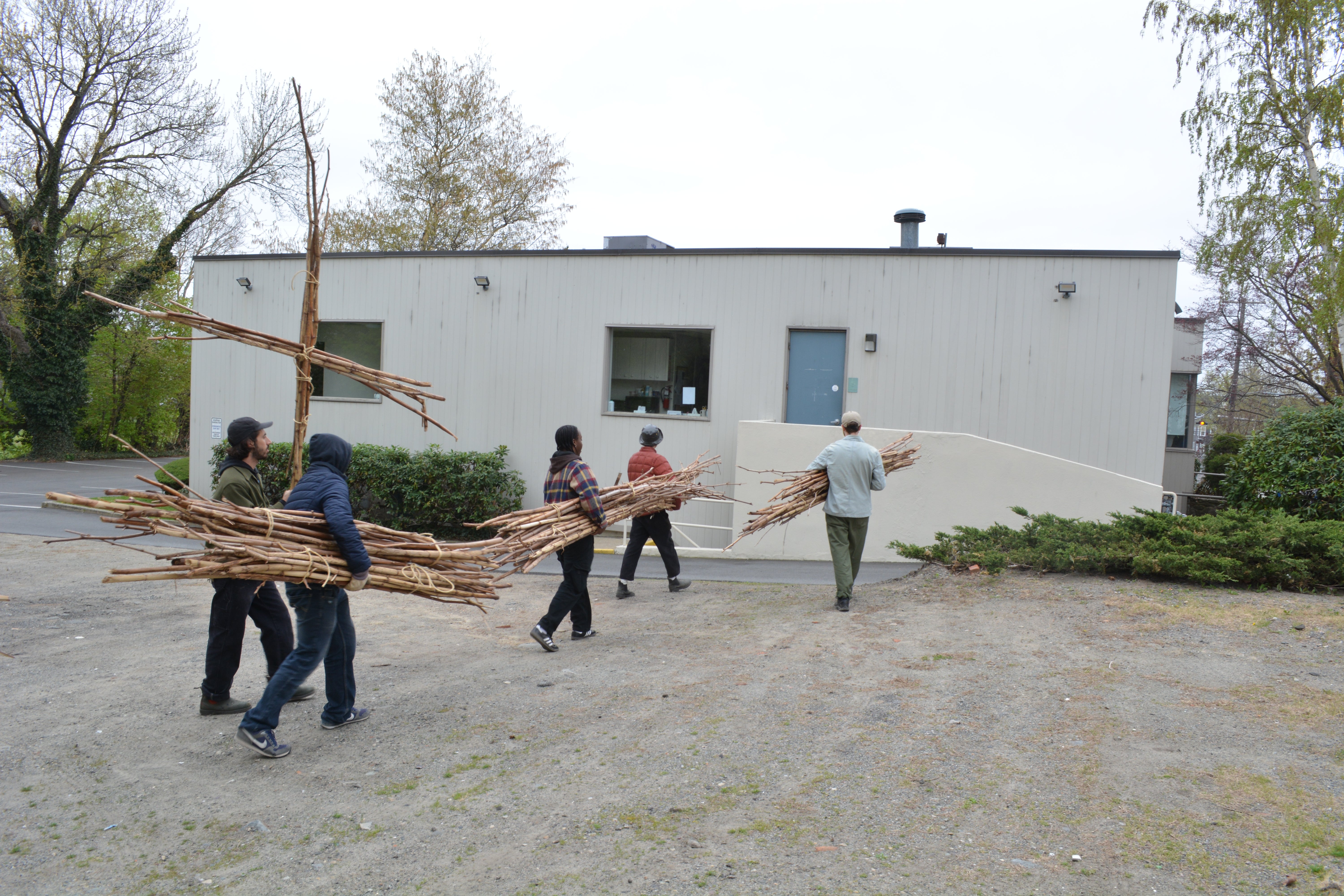 five people carrying completed bundles of knotweed through a parking lot on Gano Street in Providence