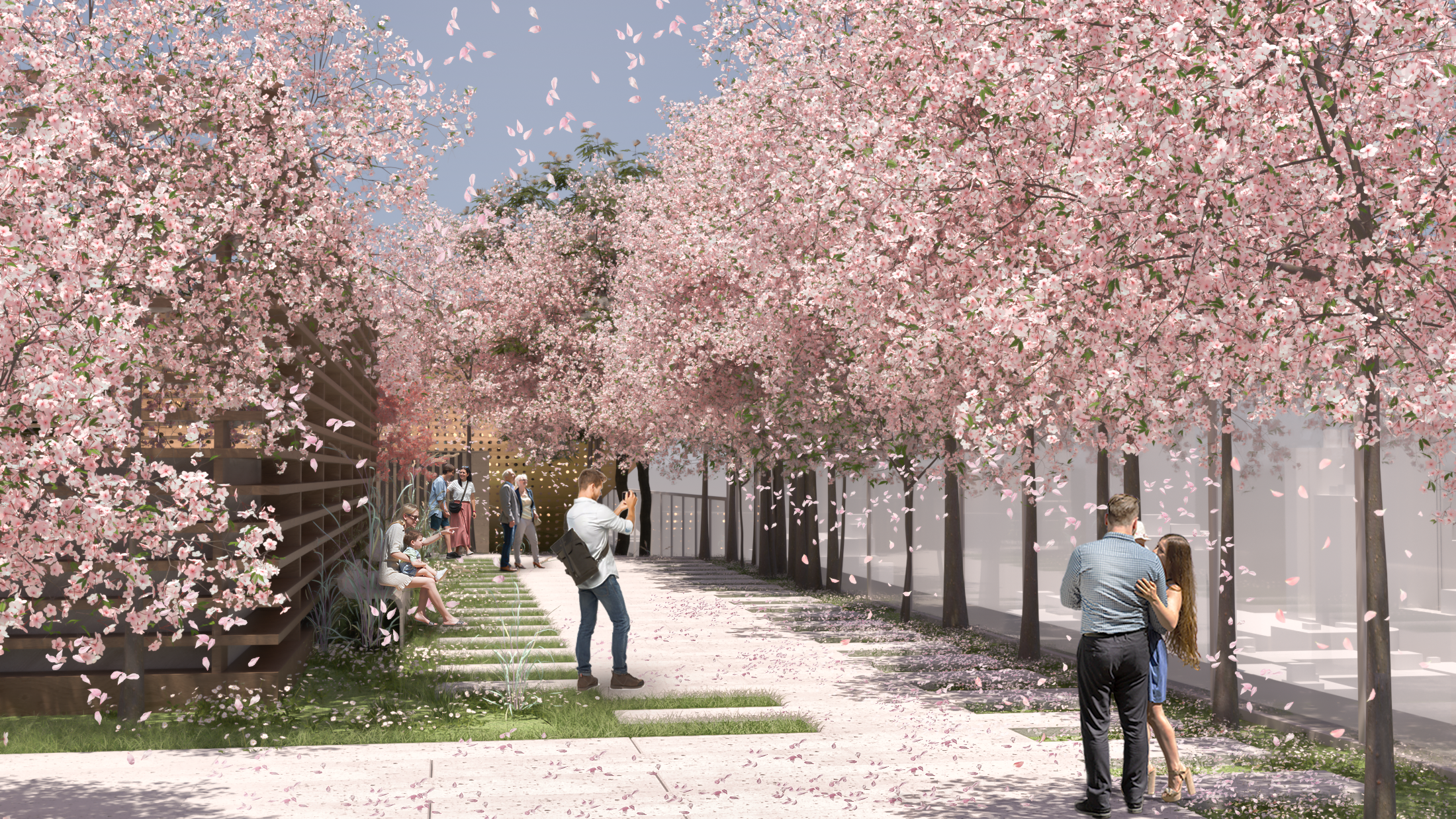 Walking trail presents a vibrant spring adorned with an abundance of cherry blossoms. This picturesque scene is a delightful attraction, appealing not only to individual visitors but also to families seeking a memorable experience amidst nature's beauty.