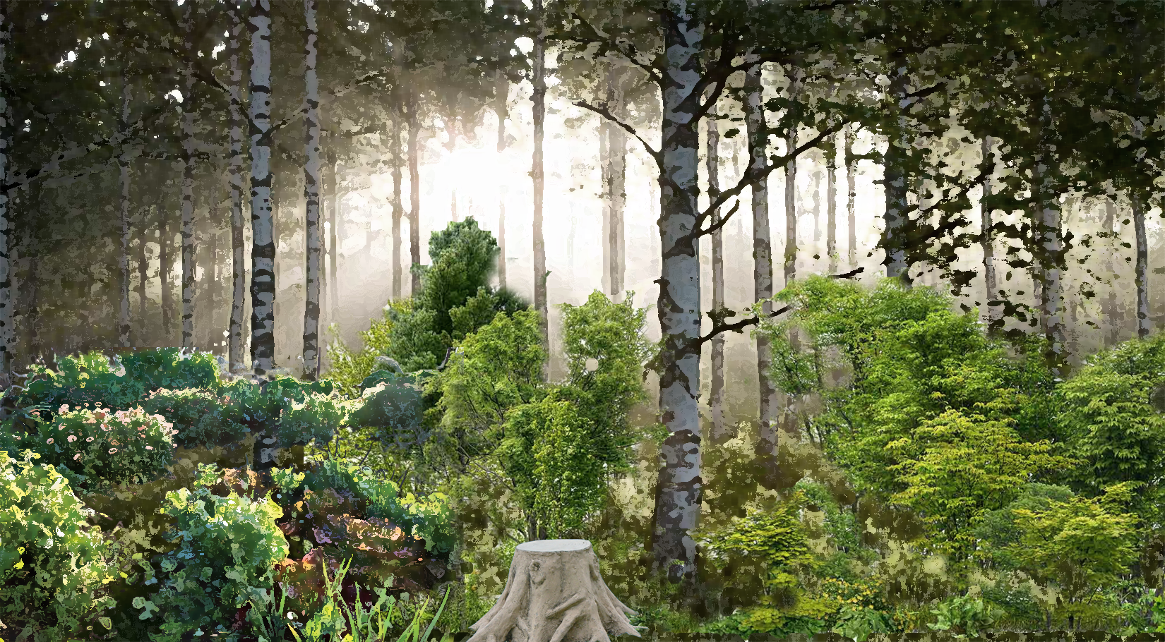 Forest image with some short shrubs and tree stumps at the front.