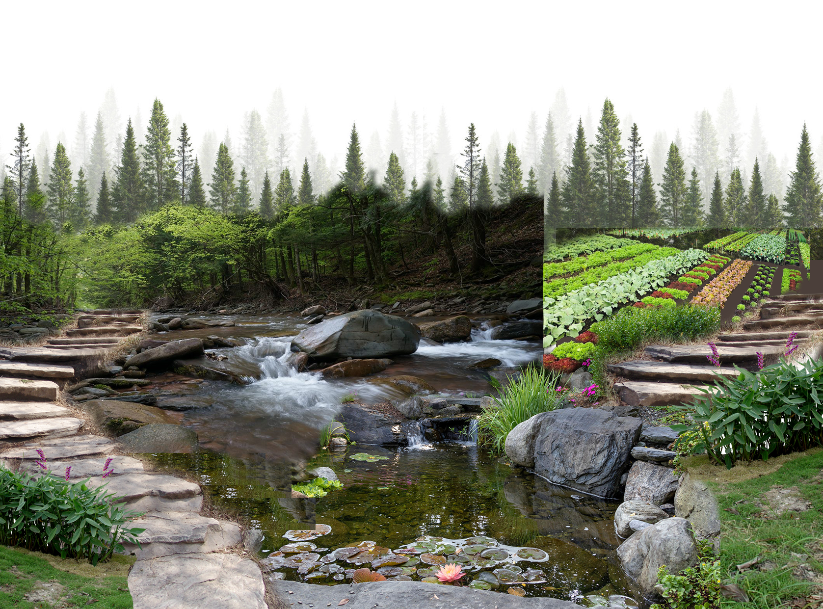 A forest at the back, two mountain trails on both sides of the image, with a water pond in the middle. The trail on the right side leads to farmland. 