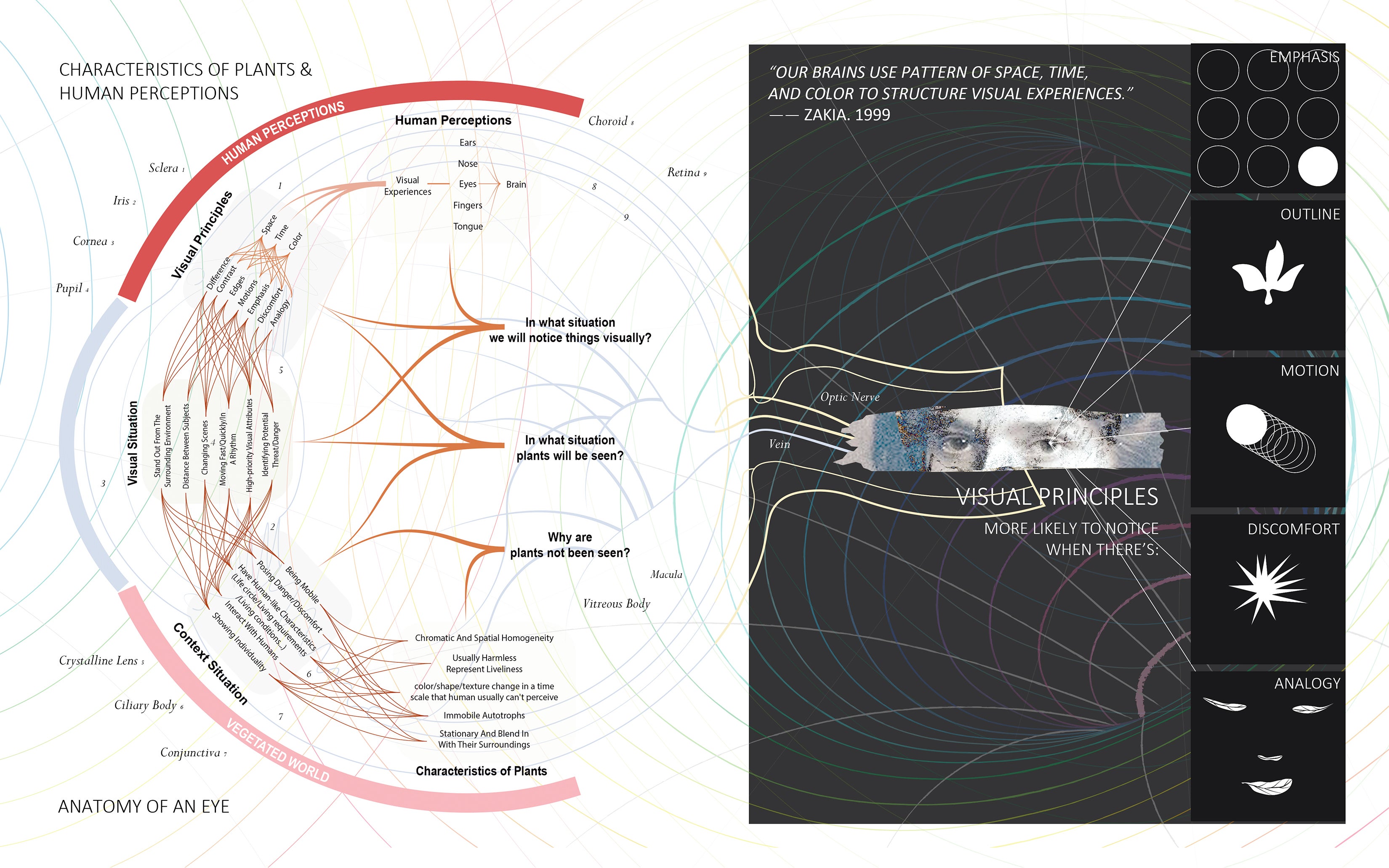 The relationship diagram of the characteristics of plants and human perceptions.
