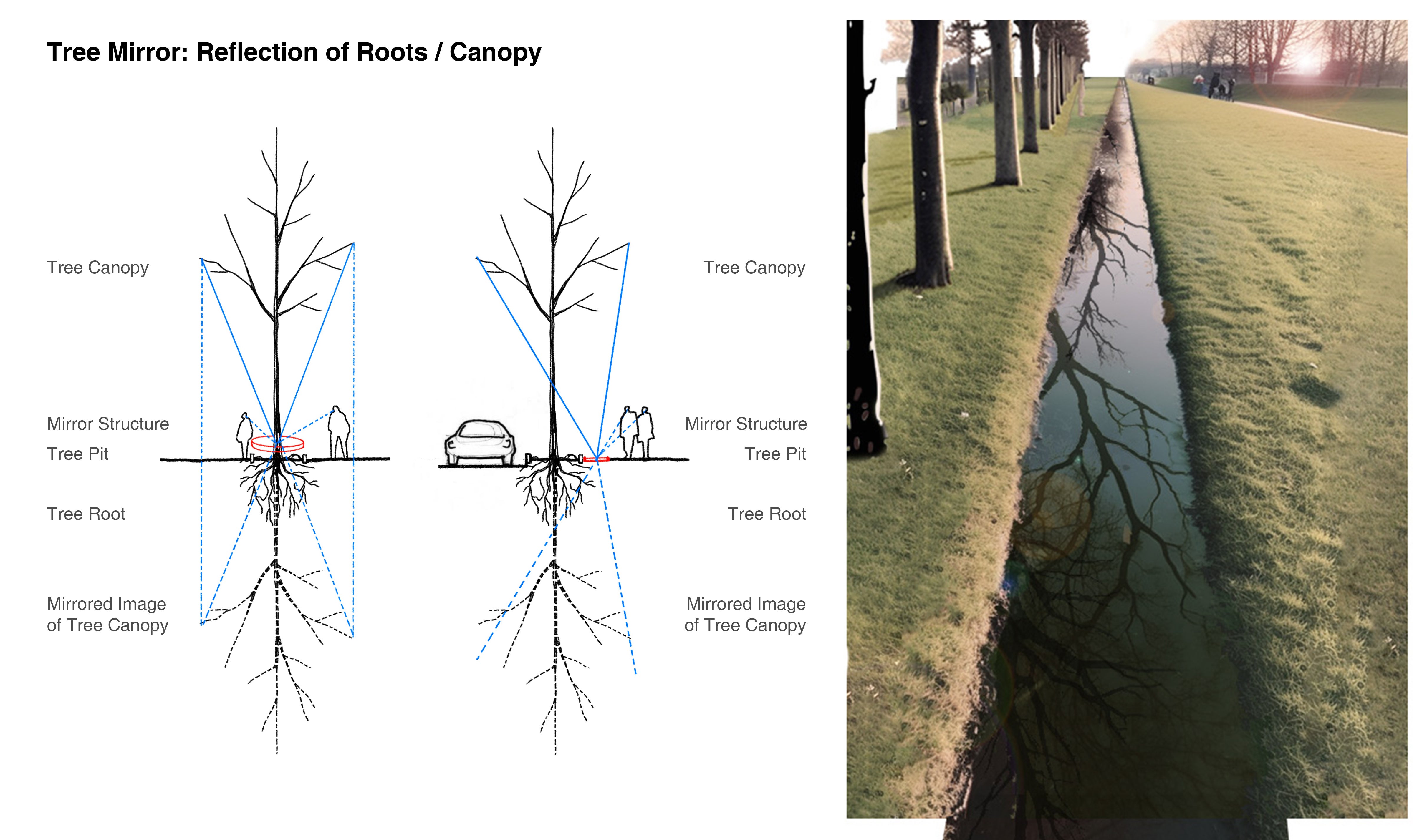 Section diagram of the "Tree Mirror" design.