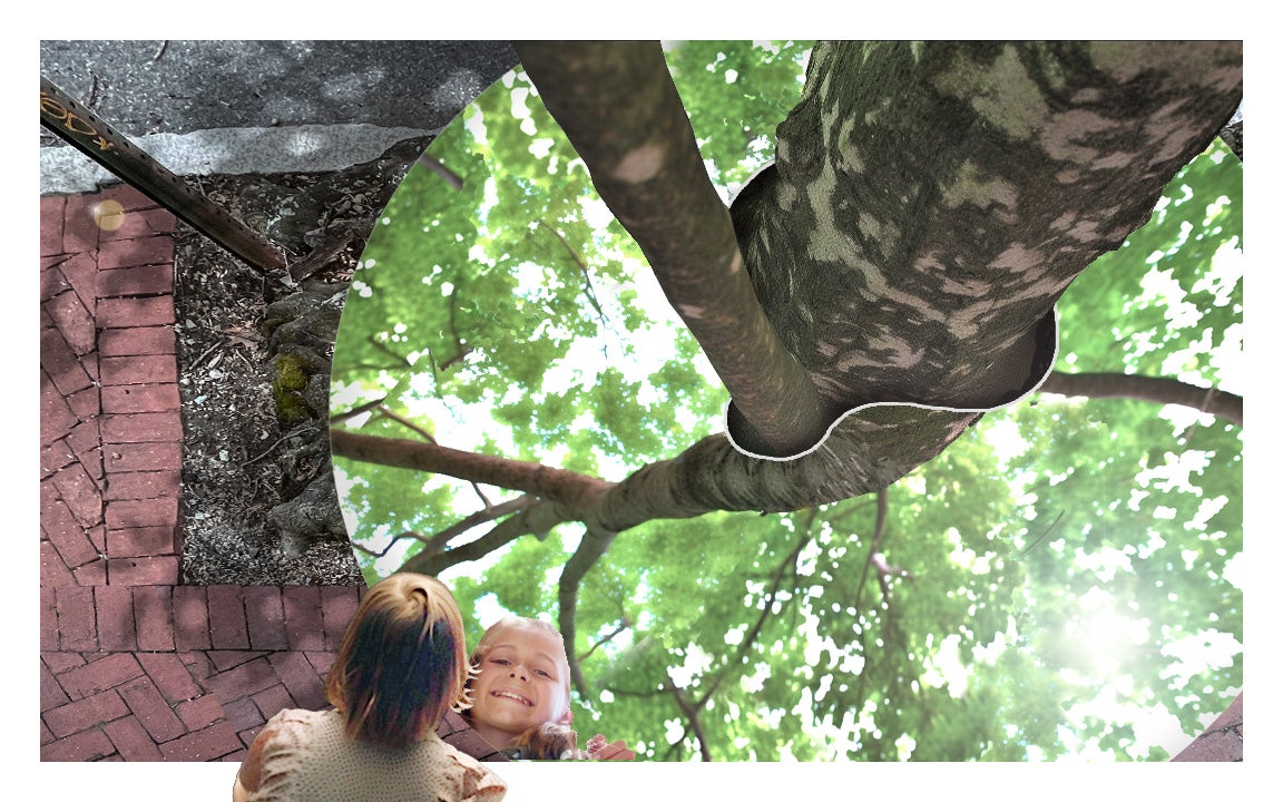 A little kid looking down into the tree mirror to see the reflection of the tree canopy above her head.