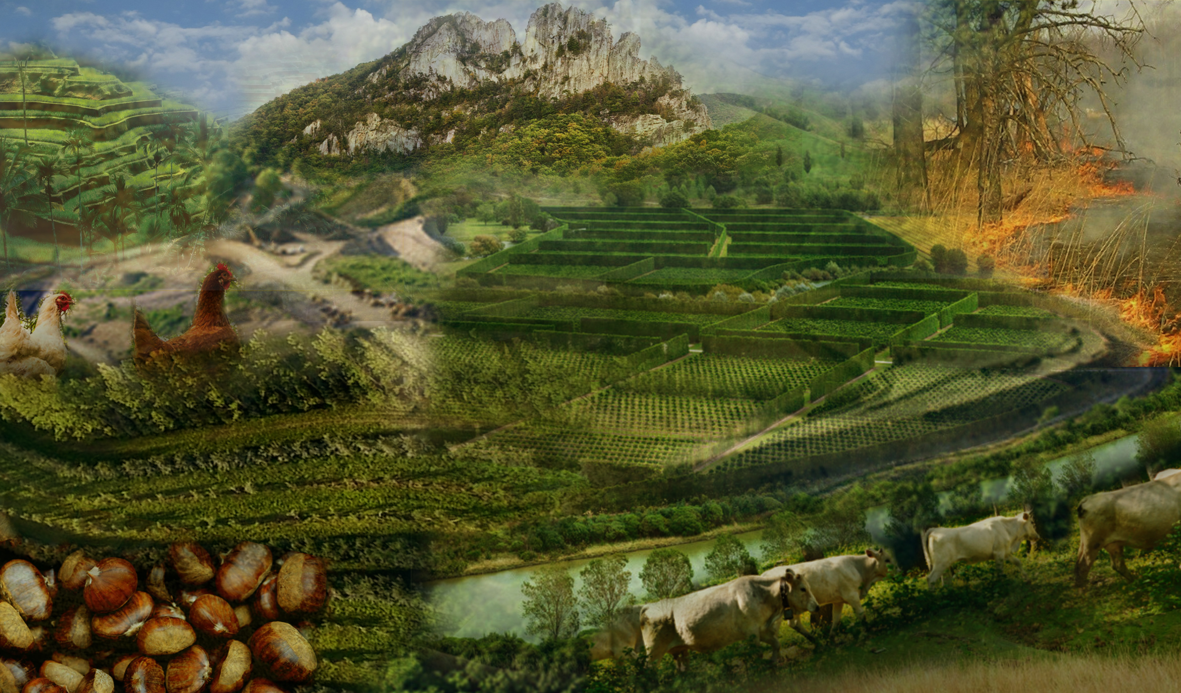Mashup of different agriculture techniques on a mountainous landscape